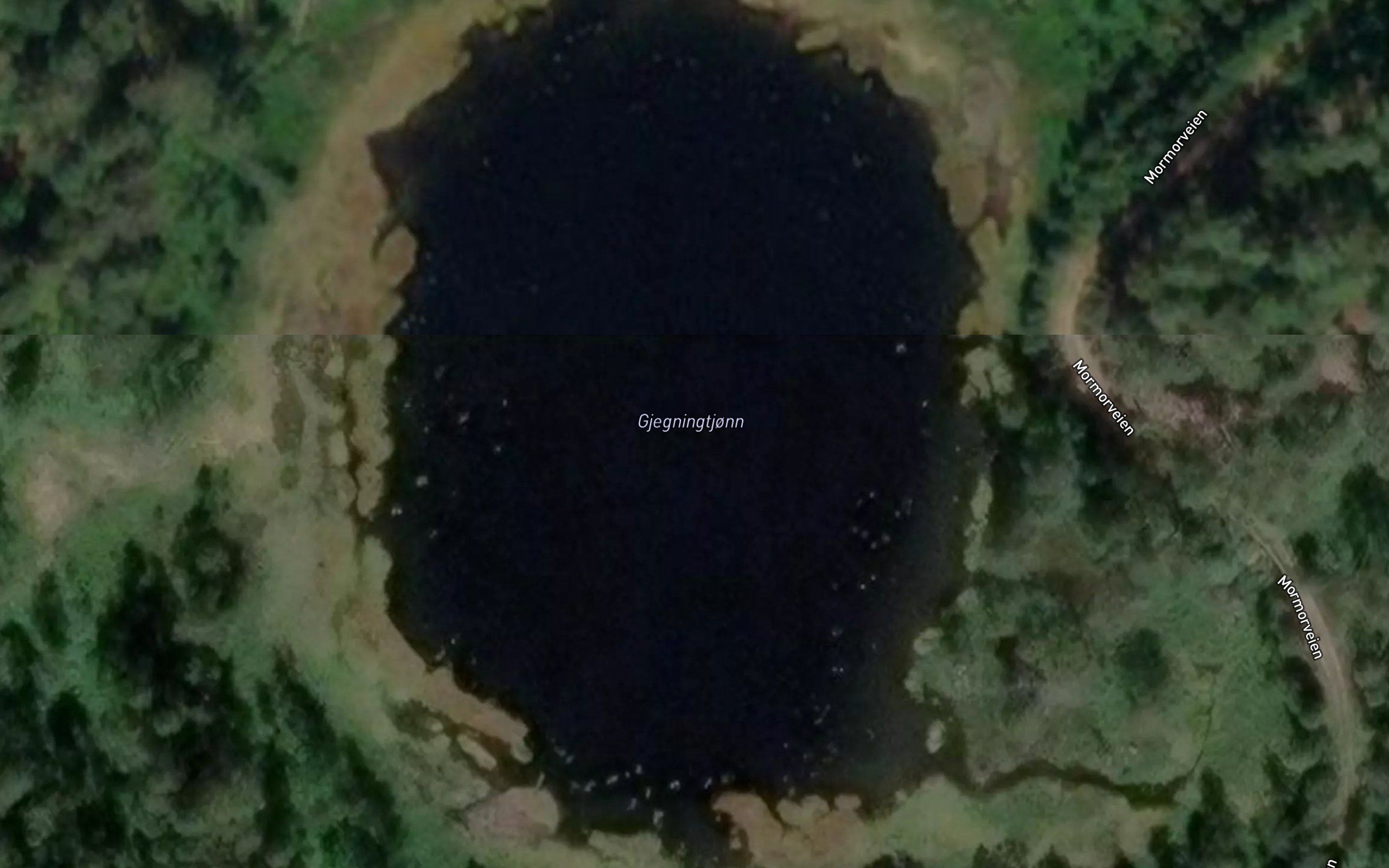 Gjegningtjonn