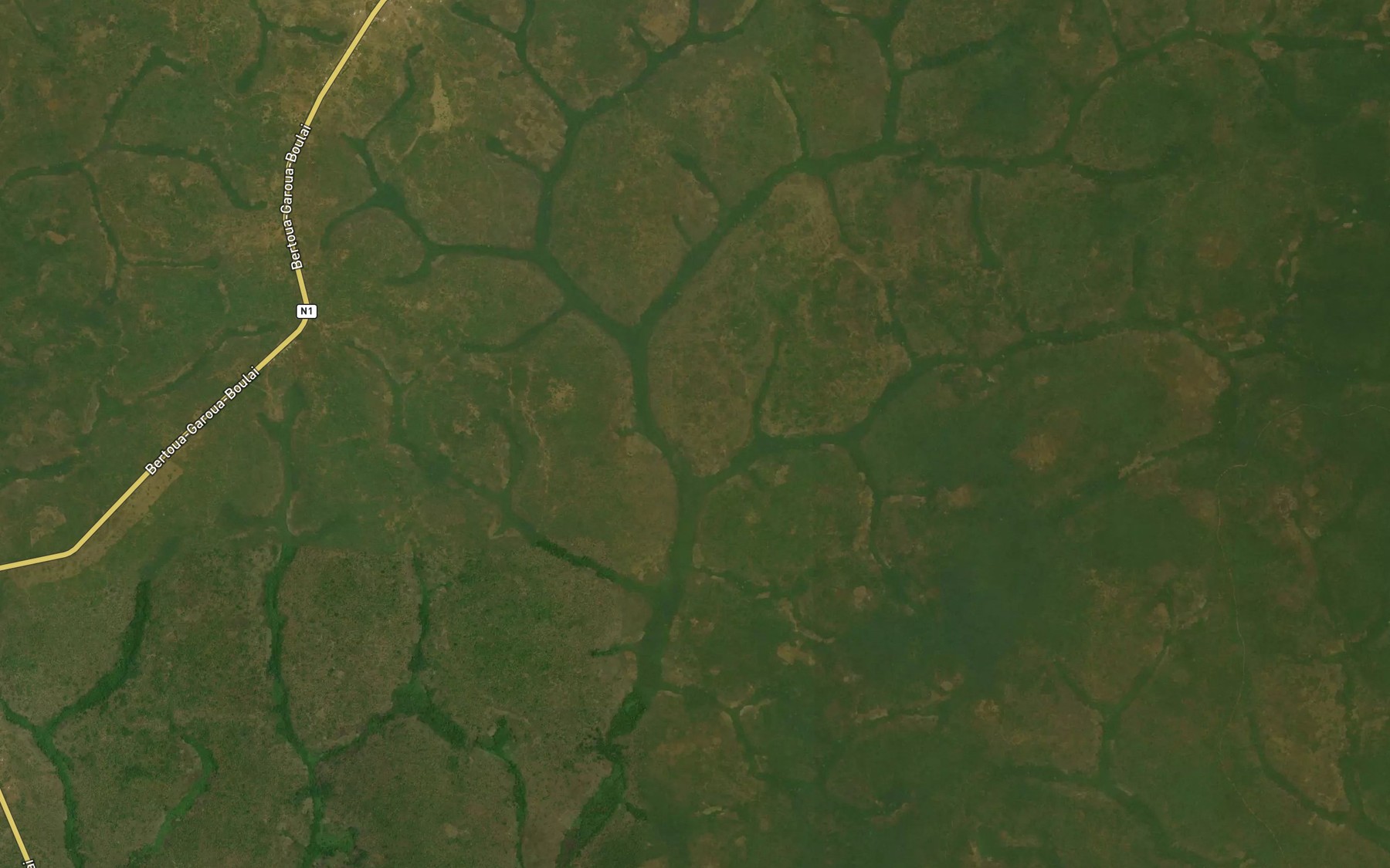 Satellite map of the Bazouforo