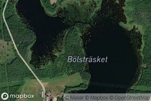 Bolstrask