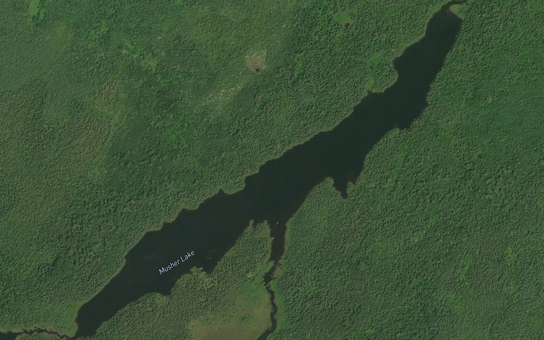 Satellite map of the Musher Lake
