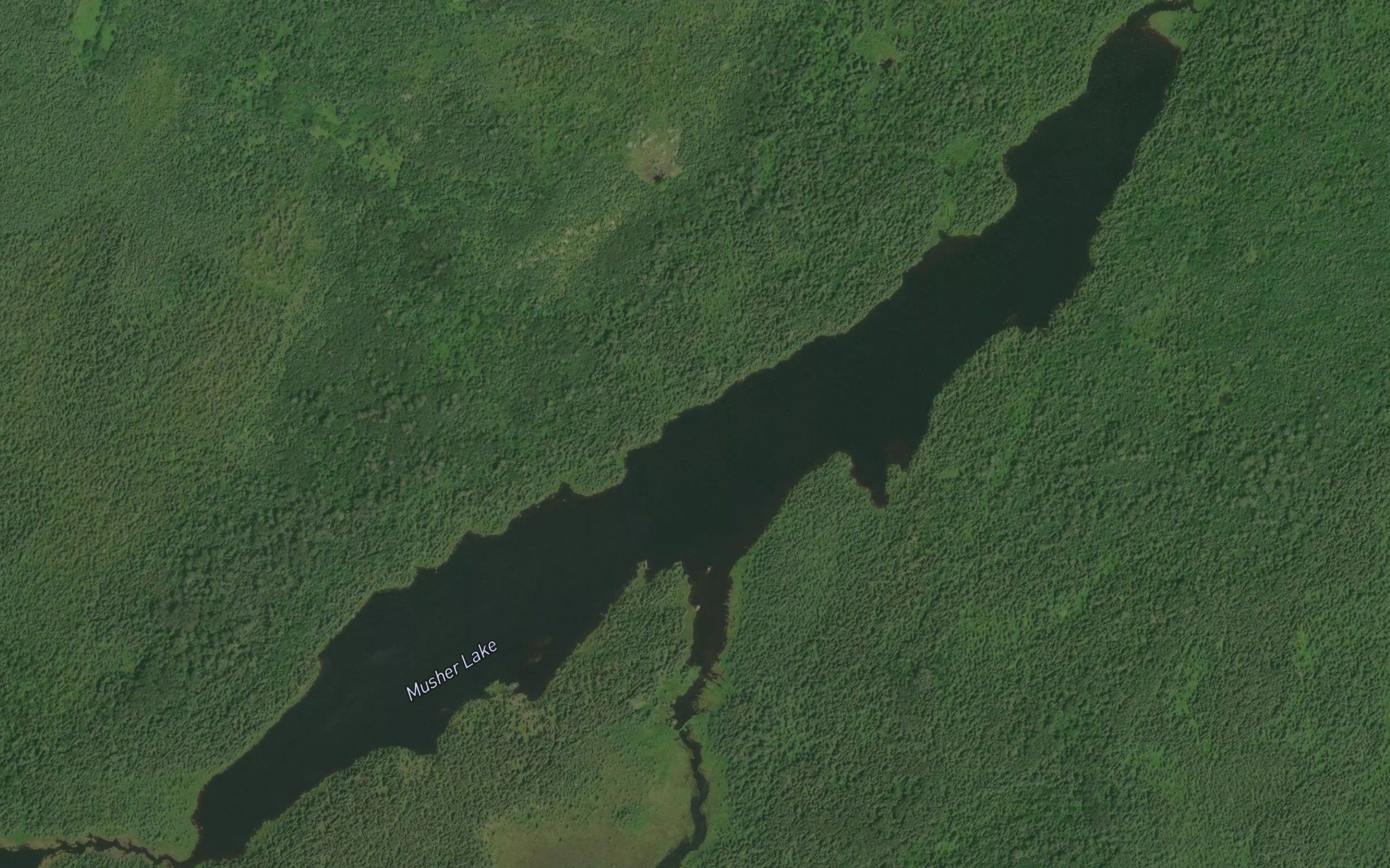 Musher Lake