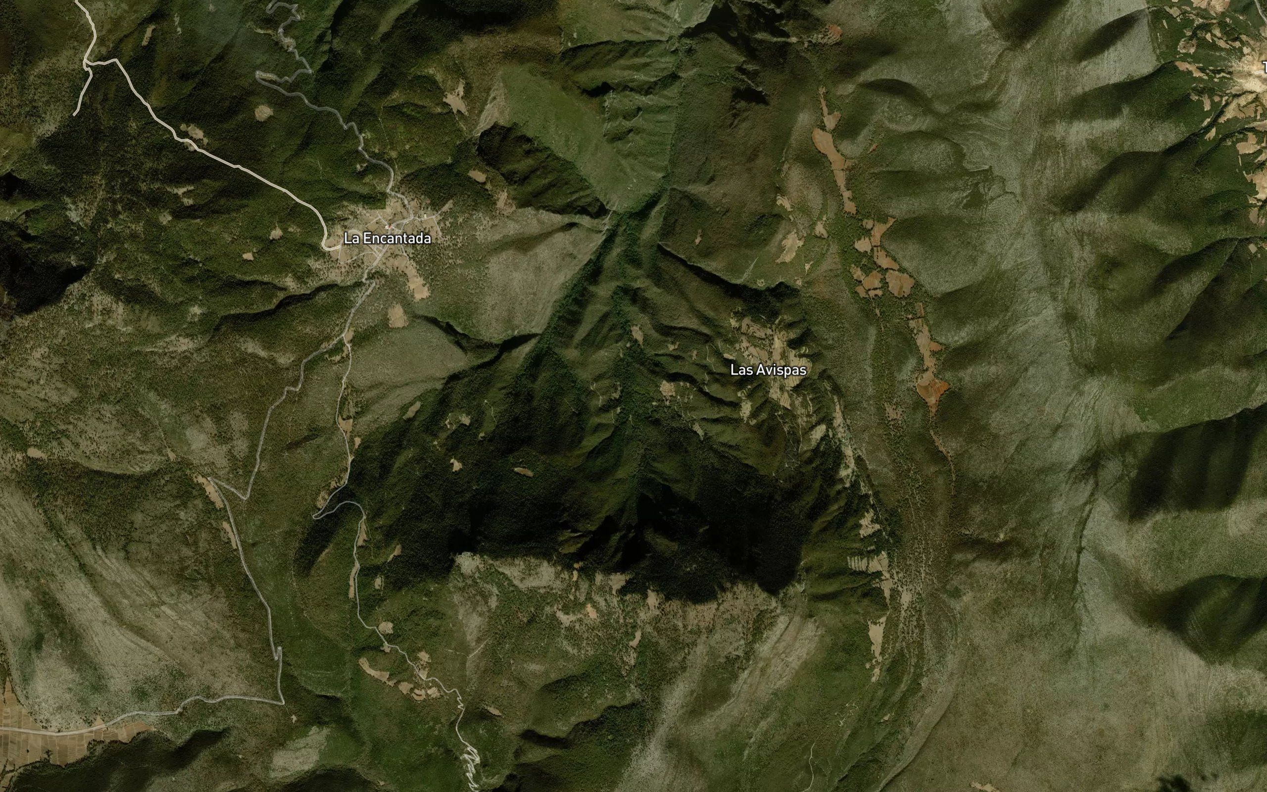 El Bosque