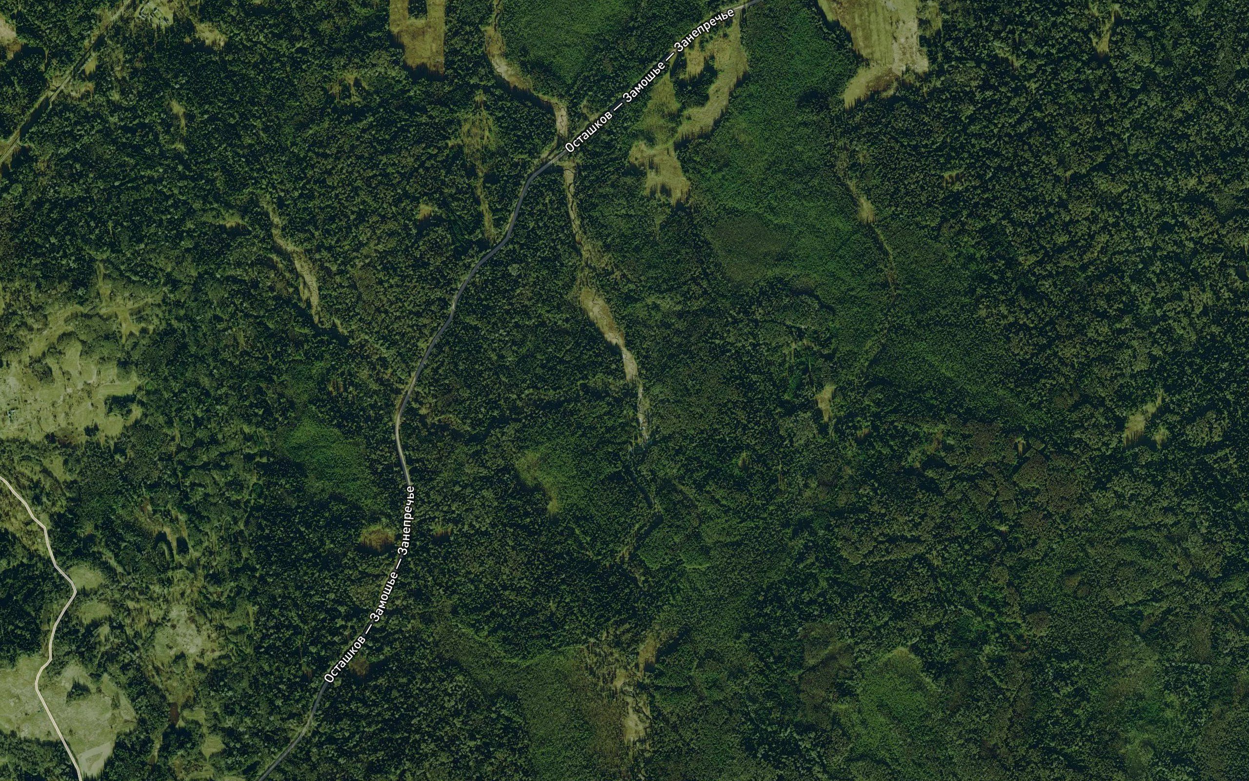 Fedov