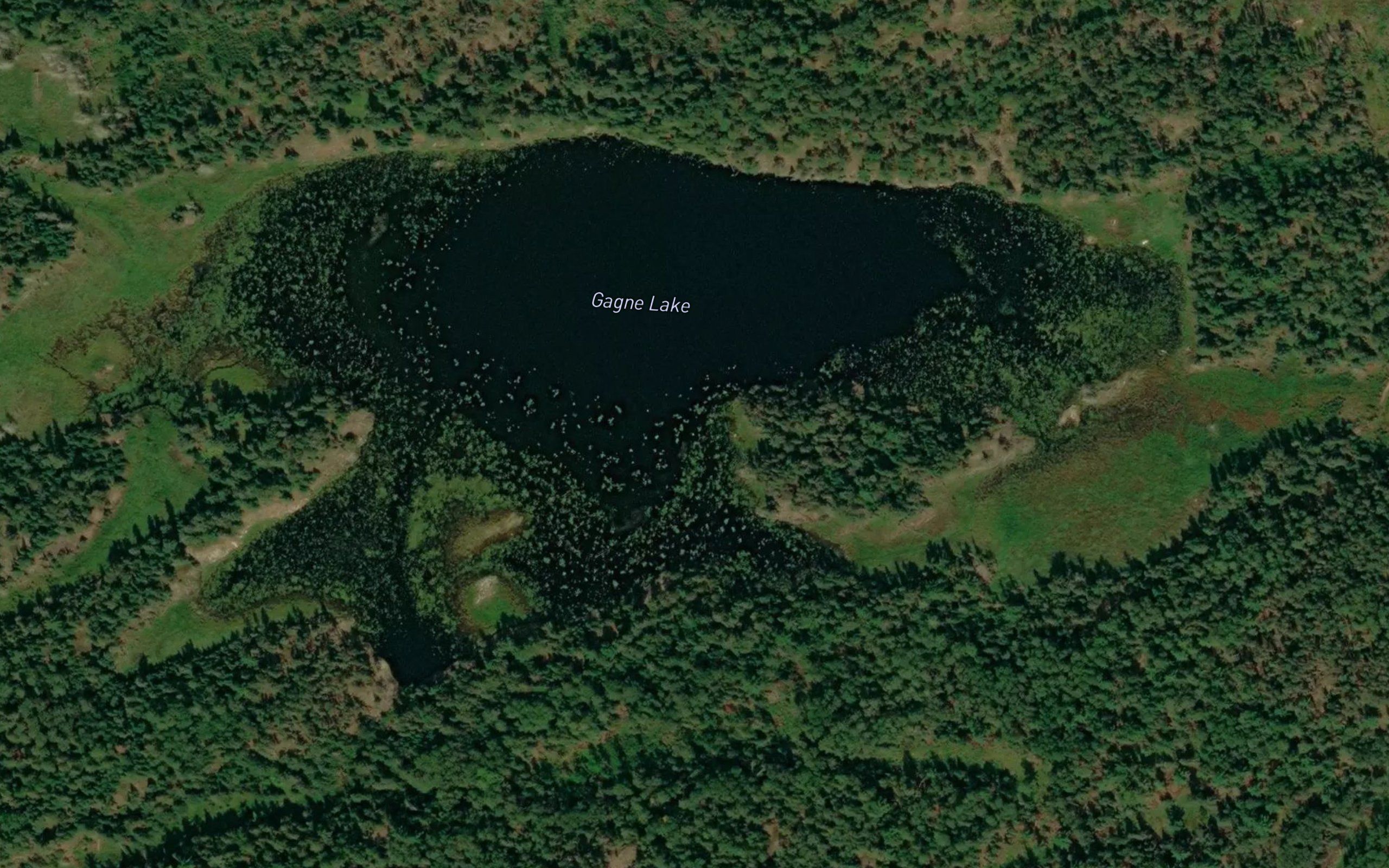 Gagne Lake