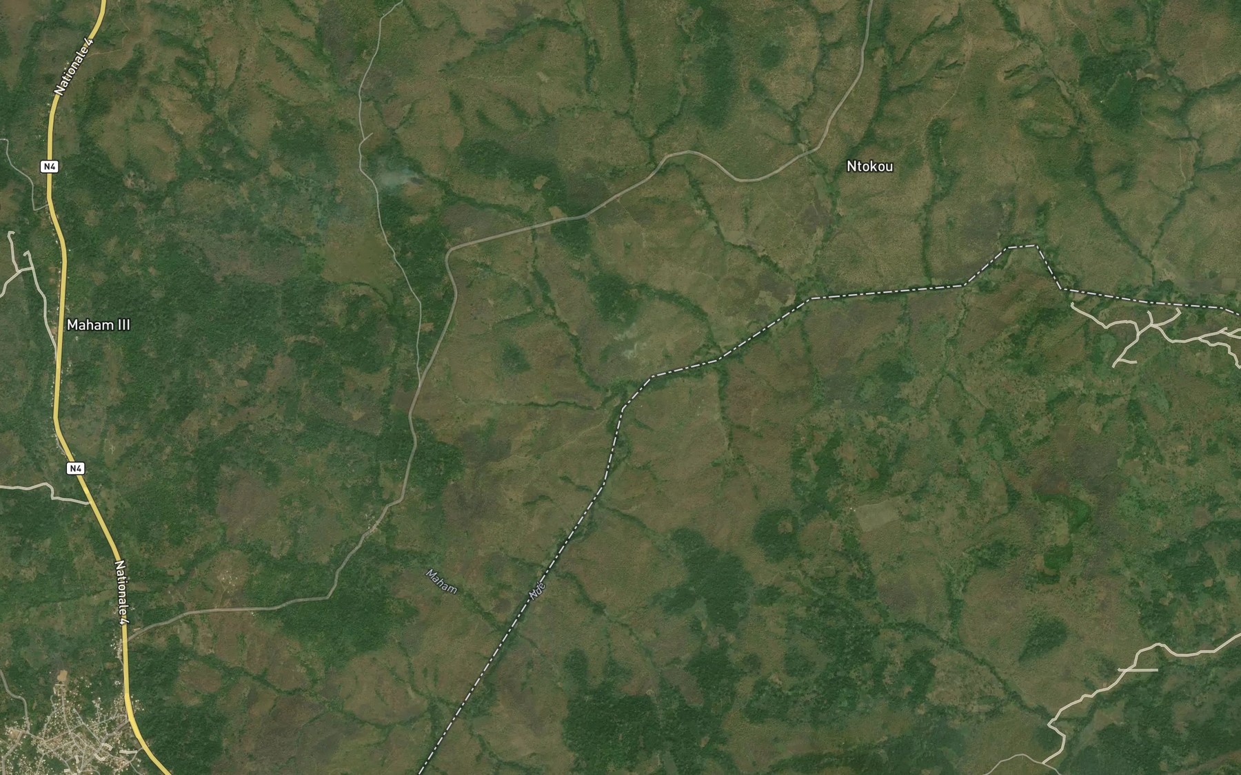Satellite map of the Niamgounde