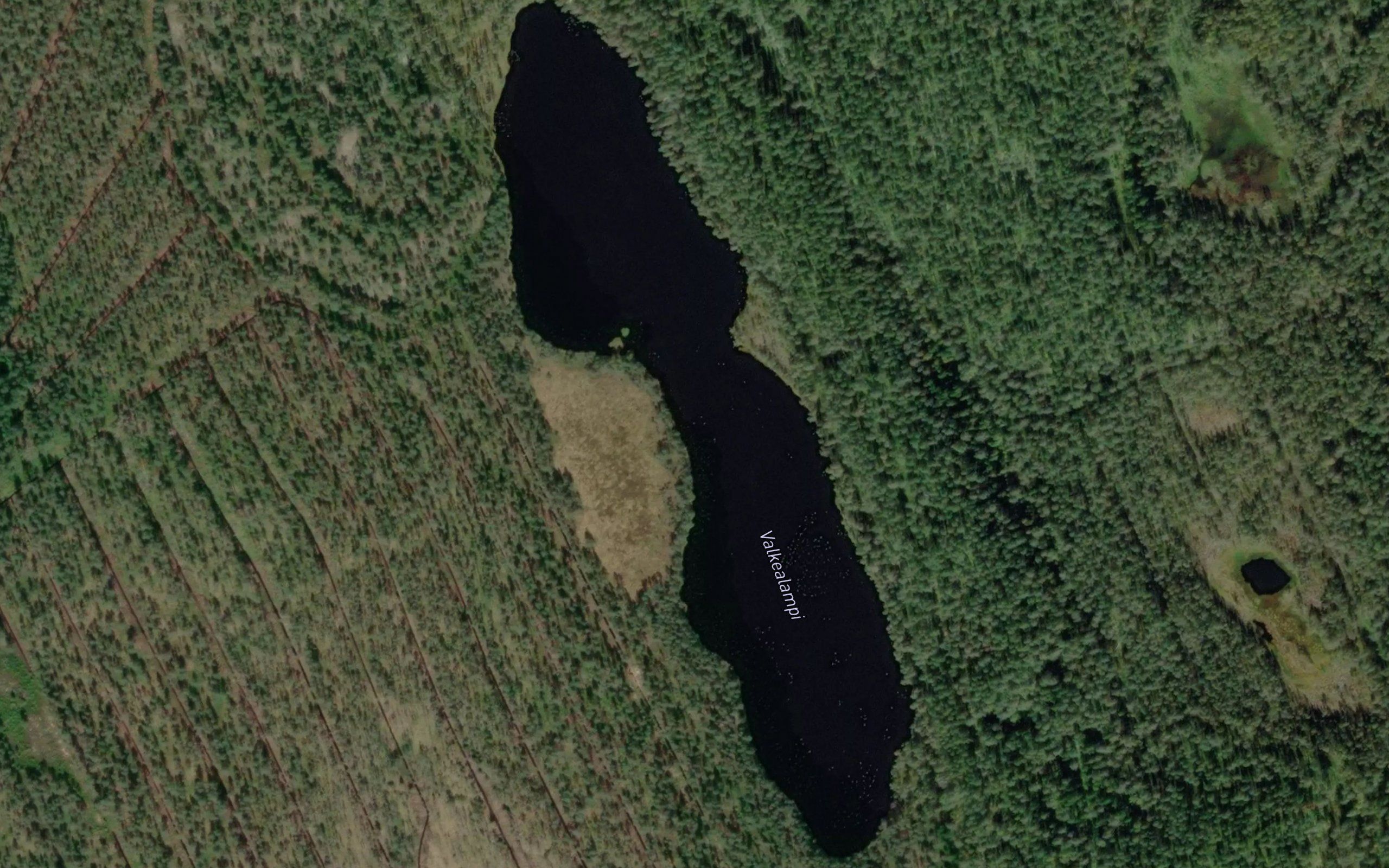 Valkealampi