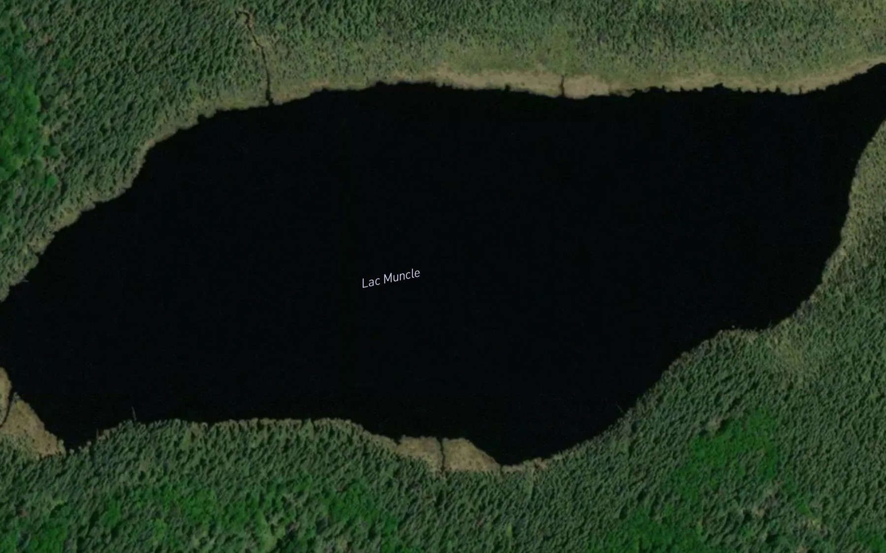 Satellite map of the Lac Muncle