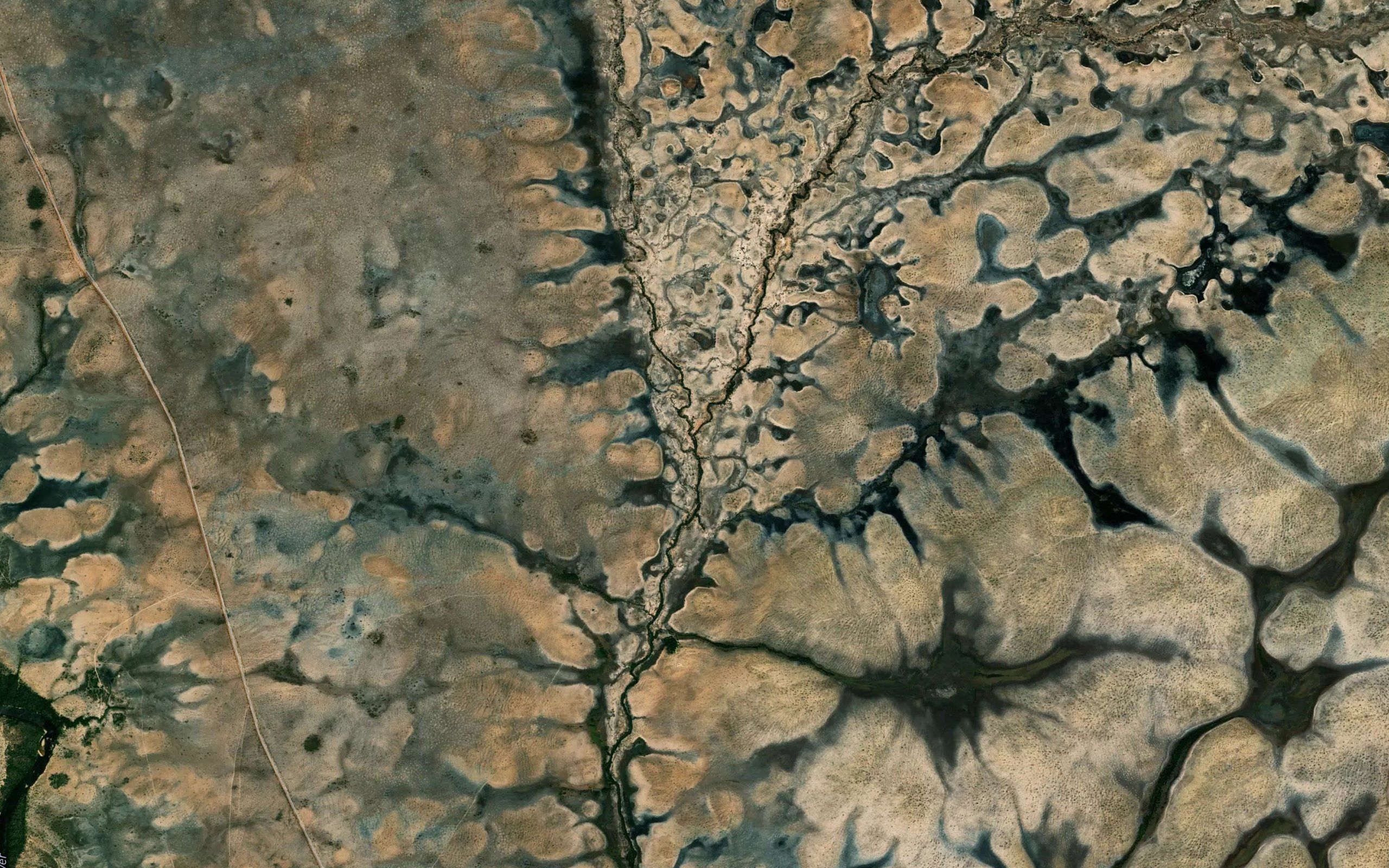 Igarape Paricazal