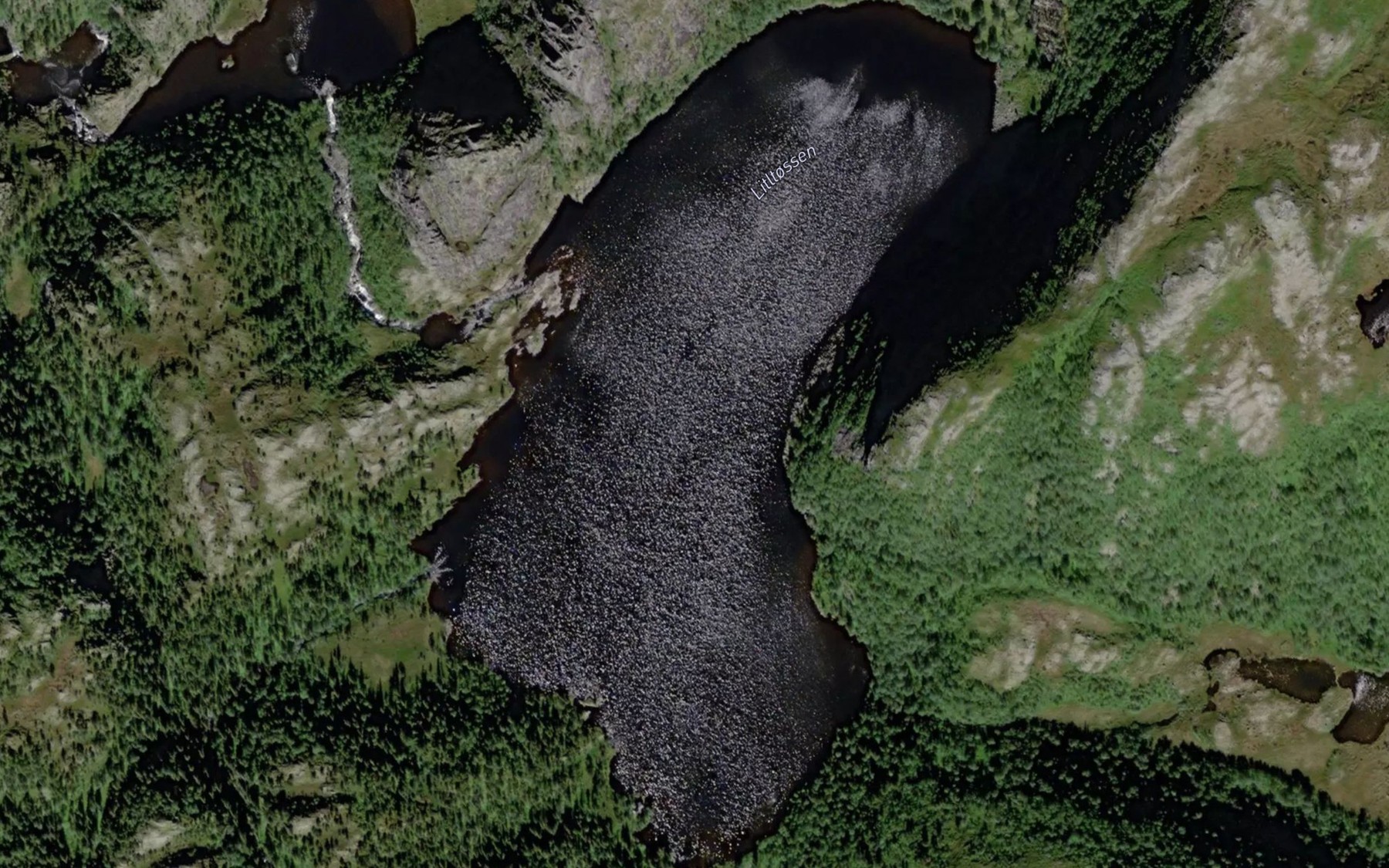 Satellite map of the Litletyssen