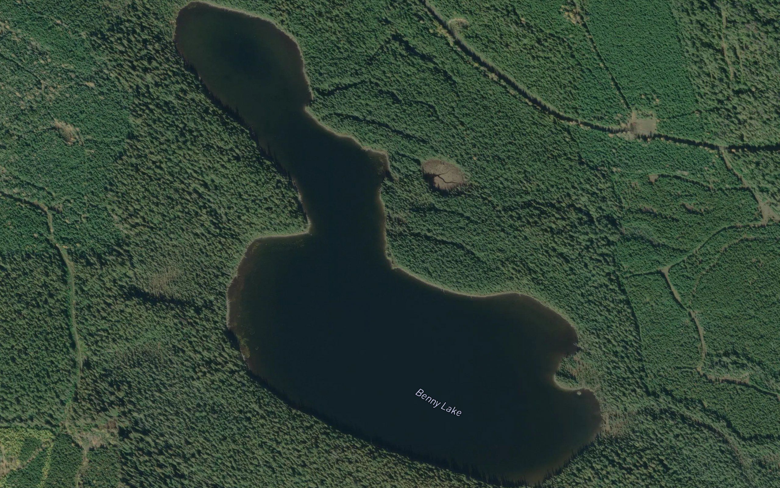 Benny Lake