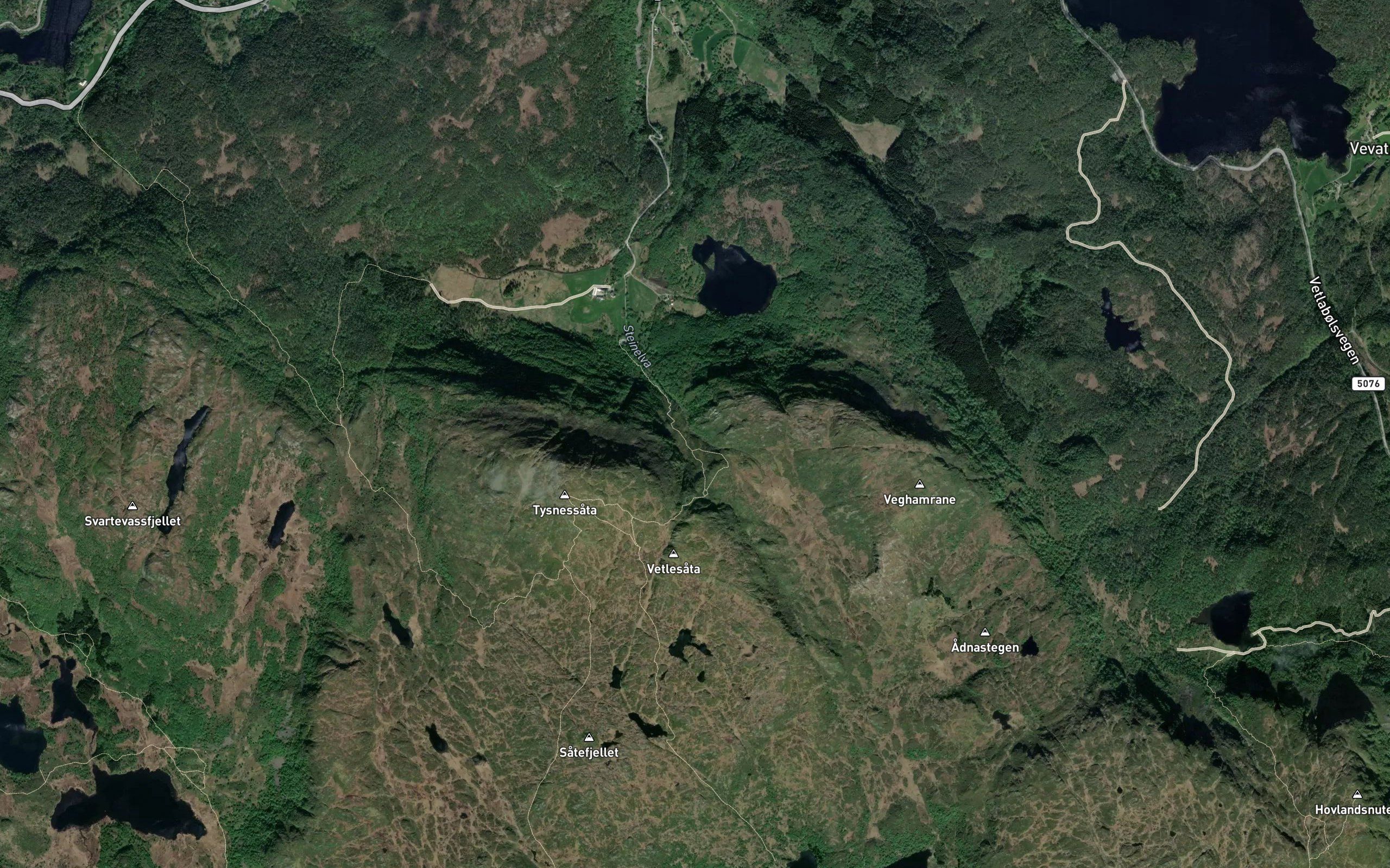 Steinelva