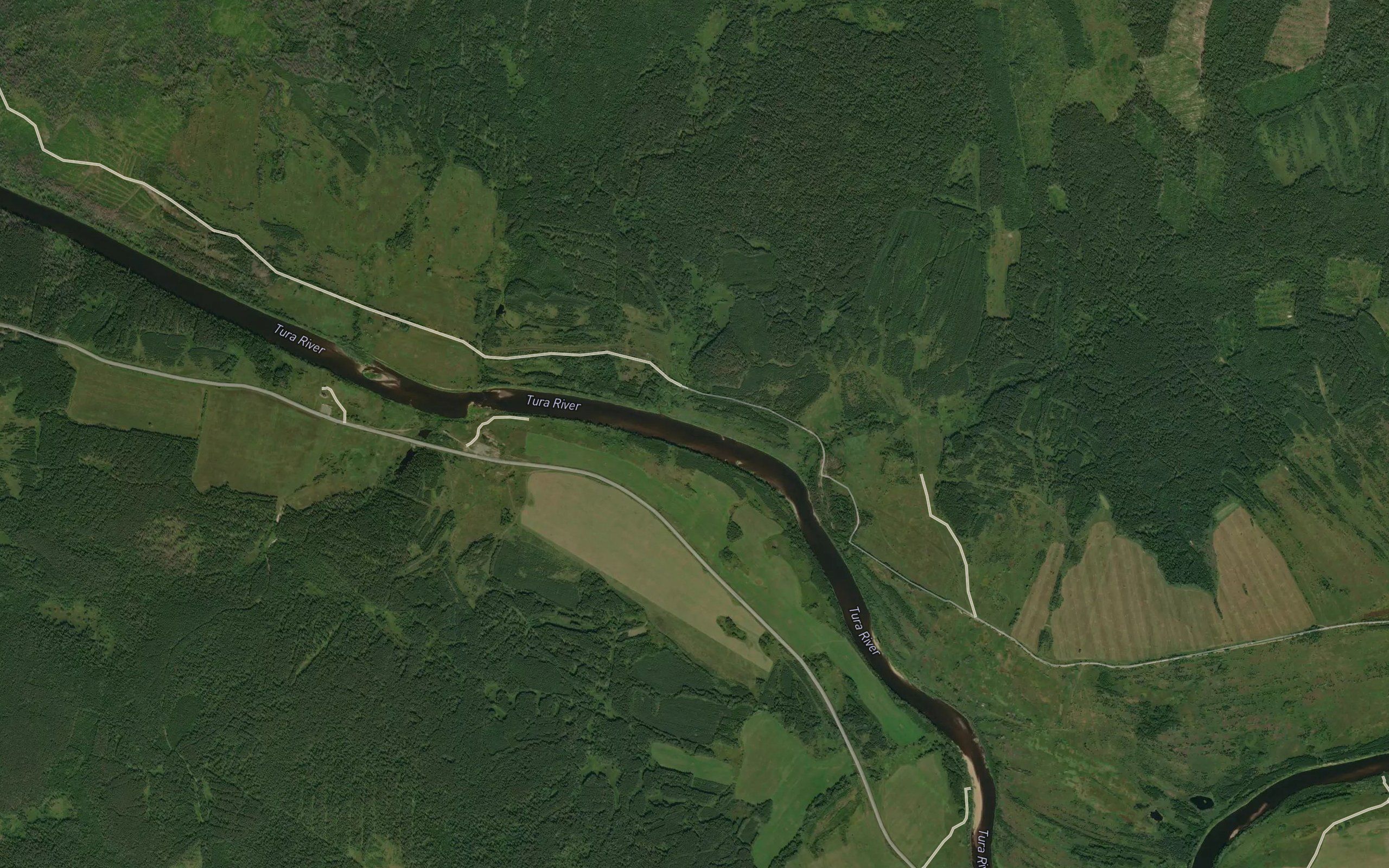 Puregovka