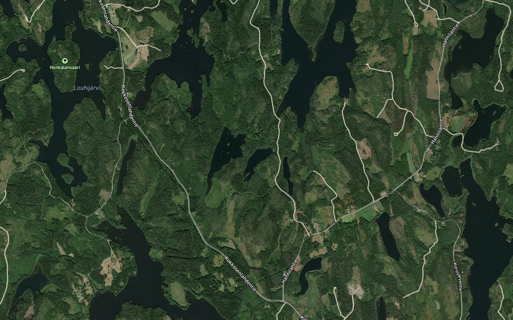 Satellite map of the Saaskijarvi