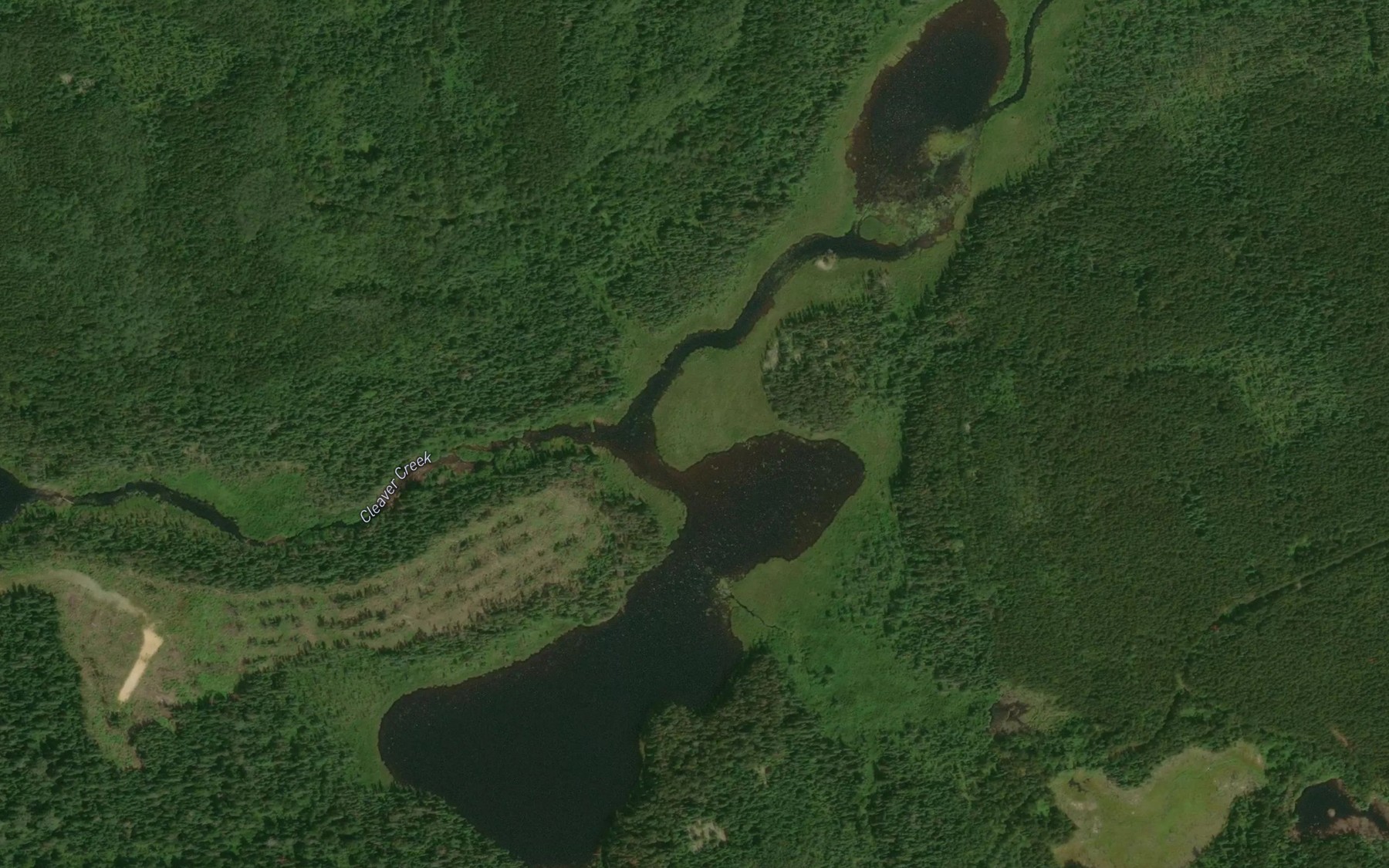 Satellite map of the Cleaver Lake