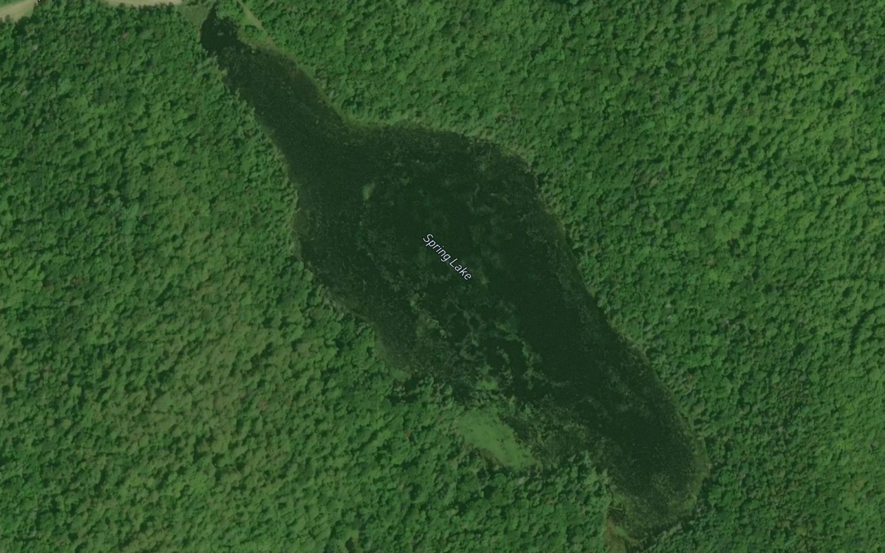 Satellite map of the Spring Lake
