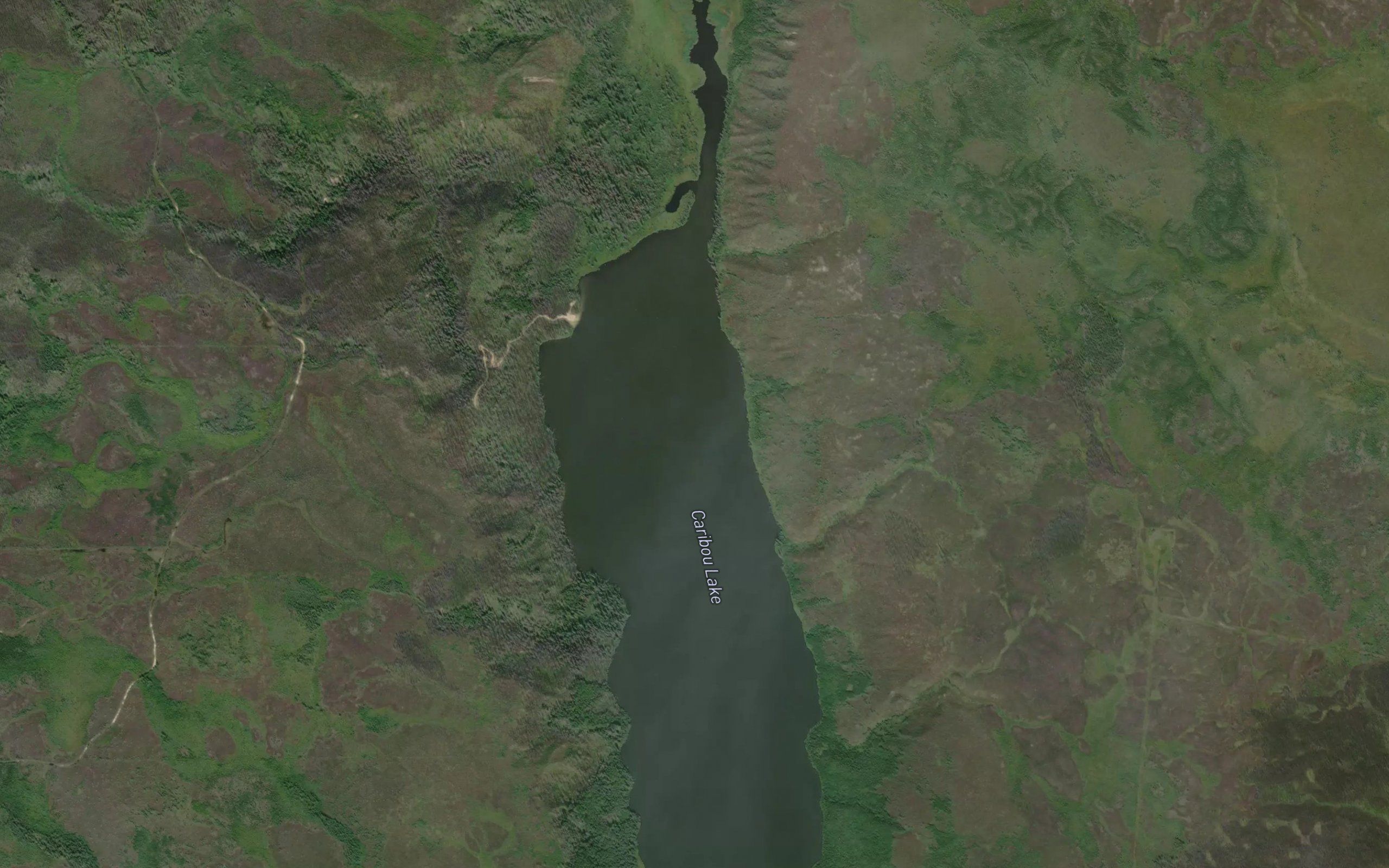 Caribou Lake