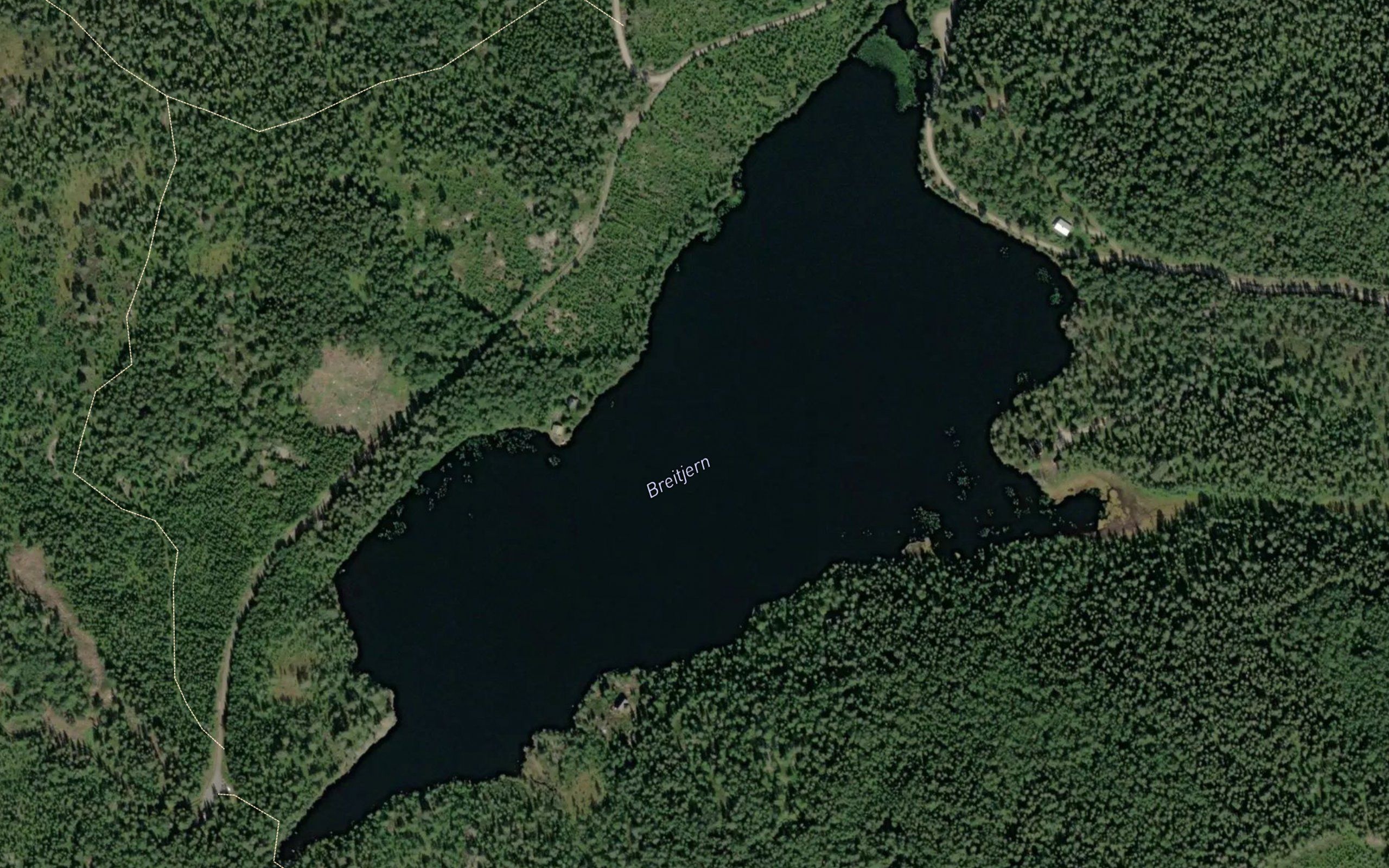 Breidtjern