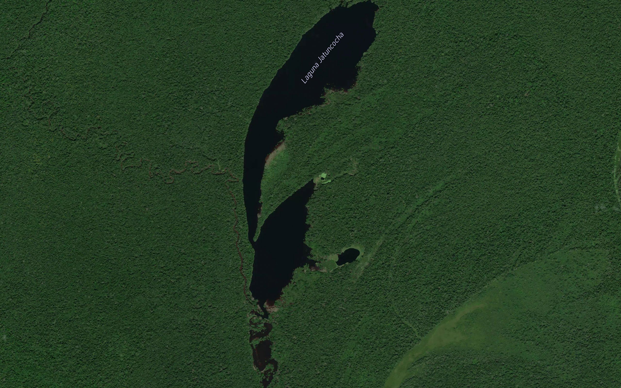 Laguna Jatuncocha