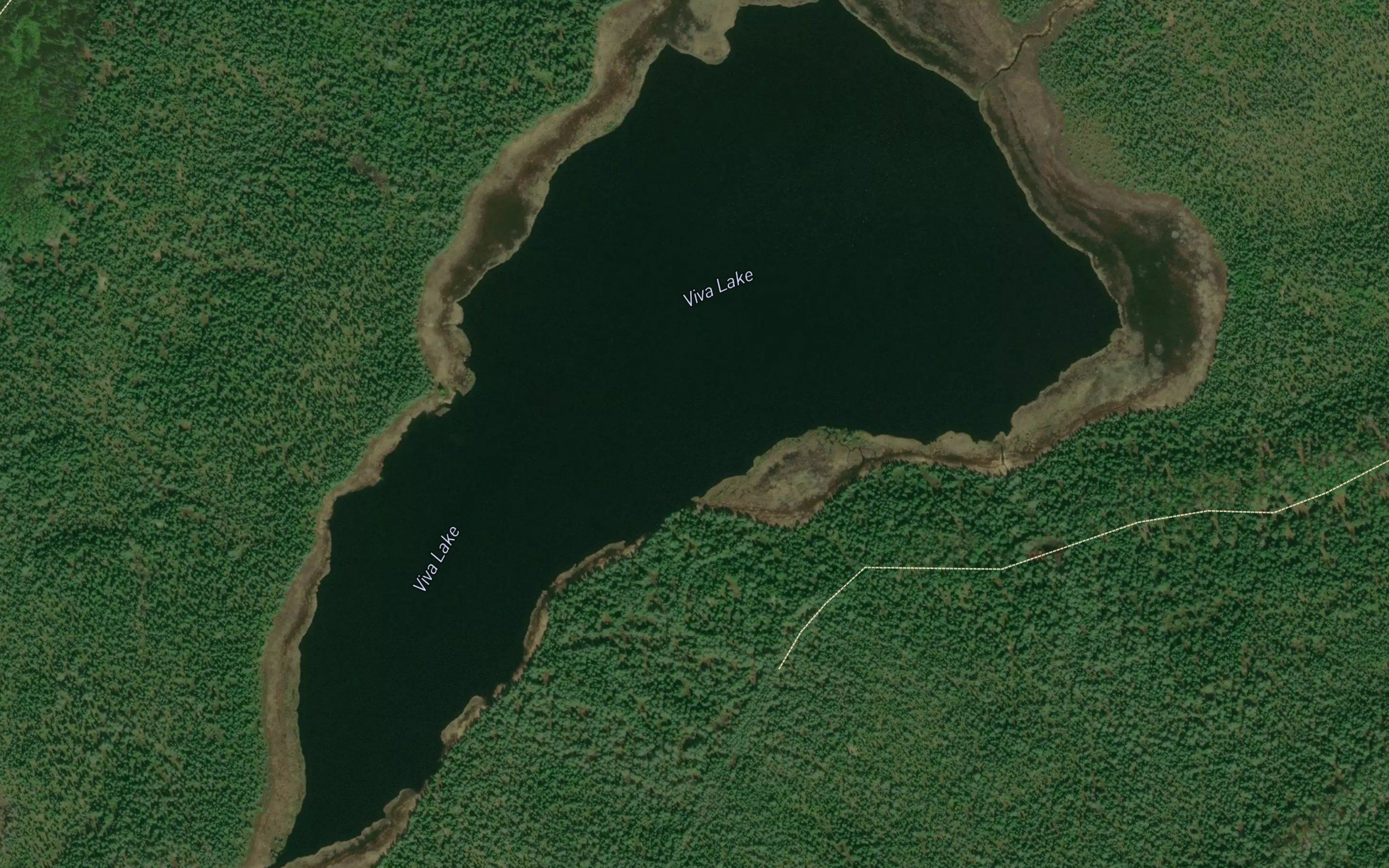 Viva Lake