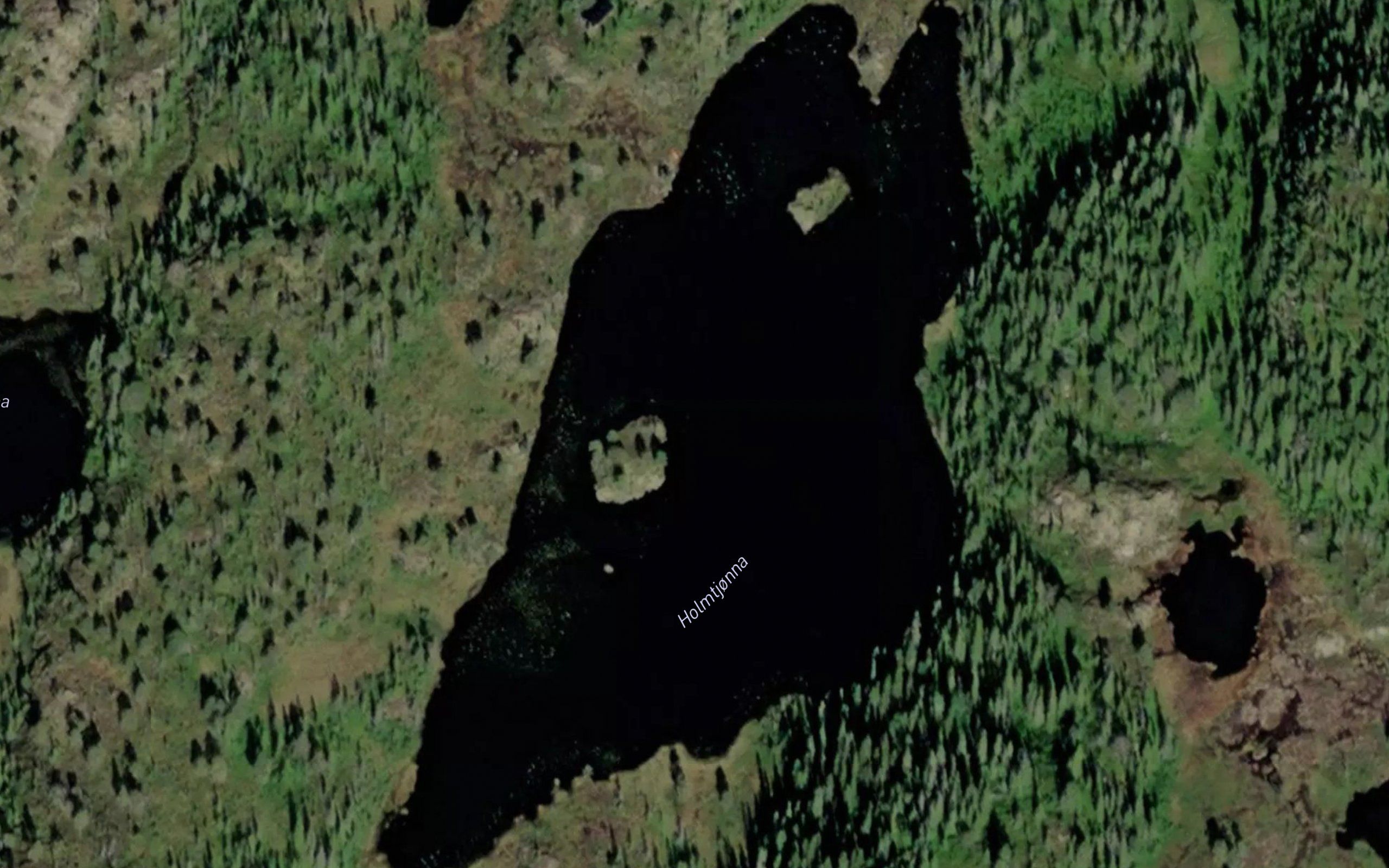 Holmtjorn