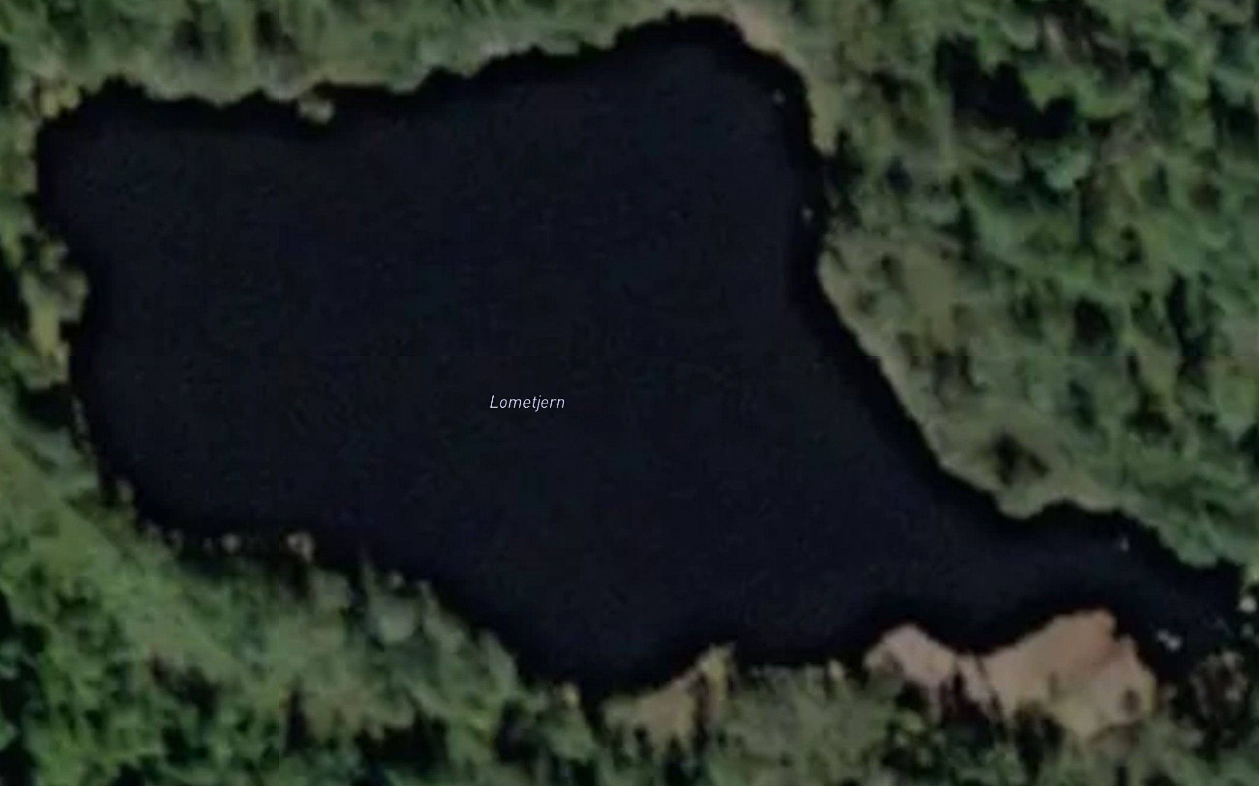 Lometjern
