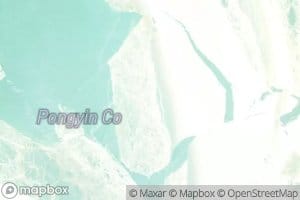 Pongyin Co