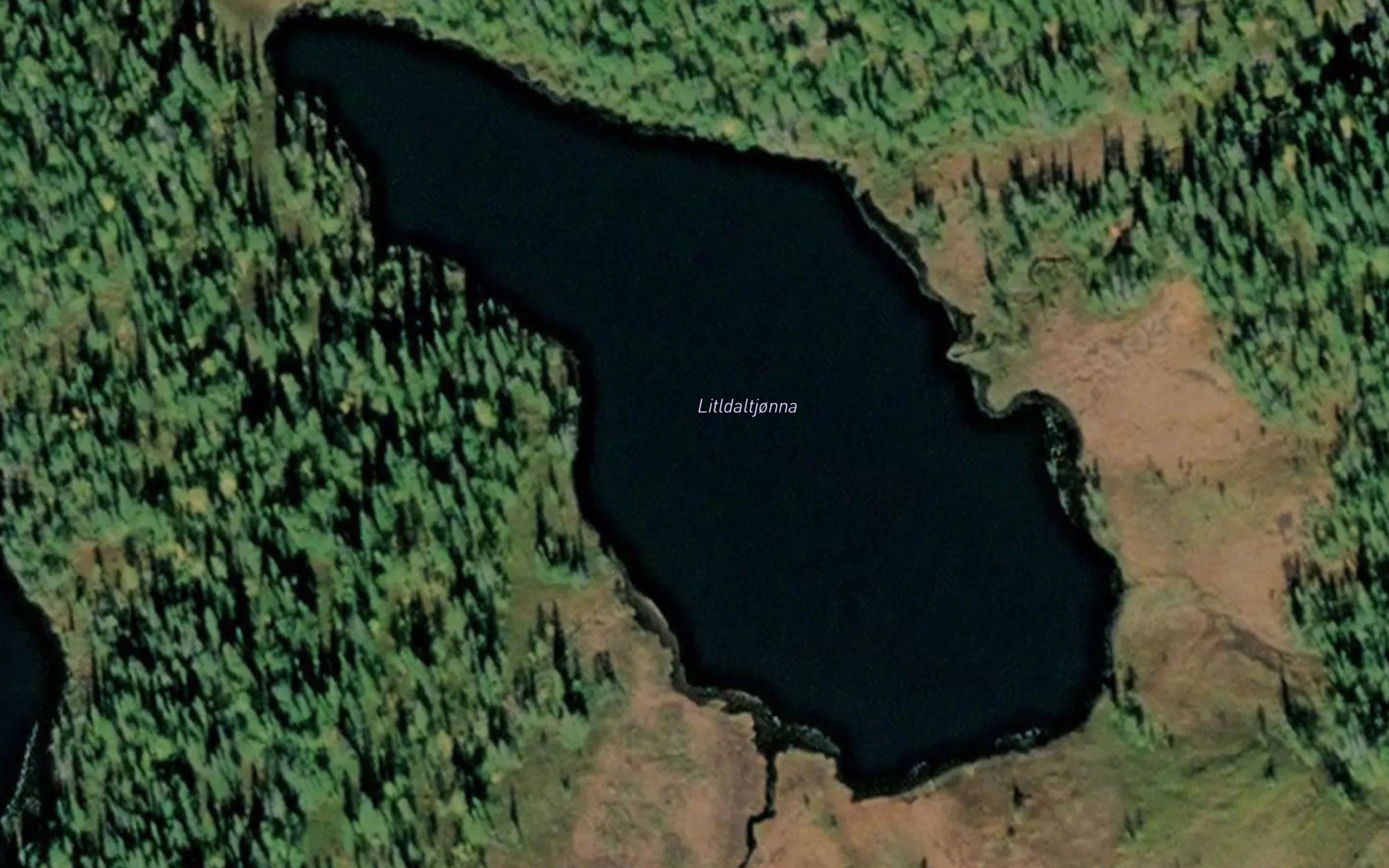 Litldaltjorna