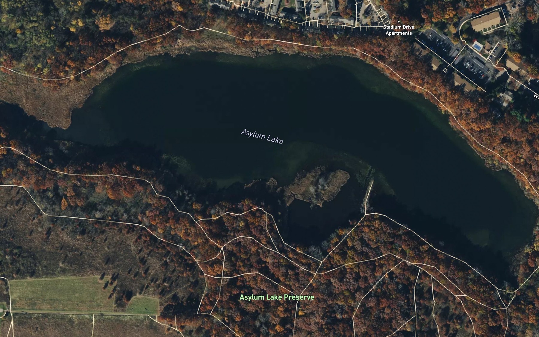 Satellite map of the Asylum Lake