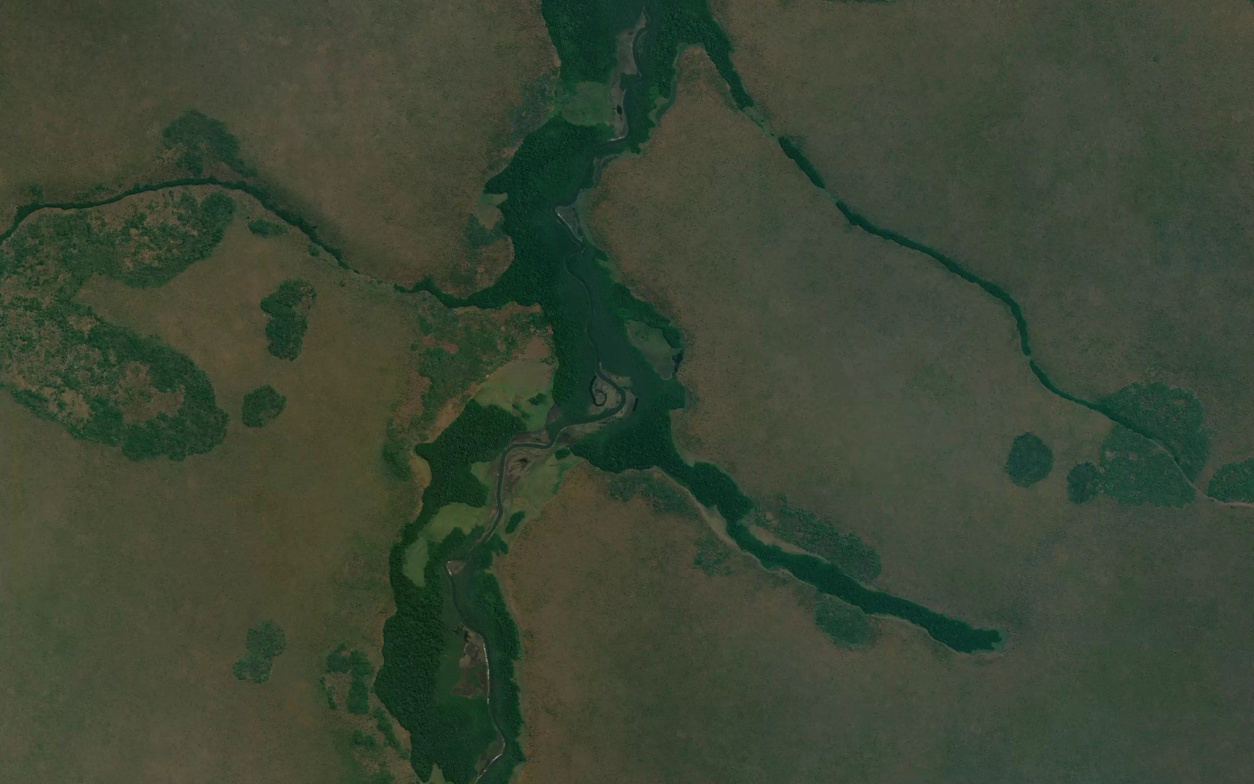 Lussechi