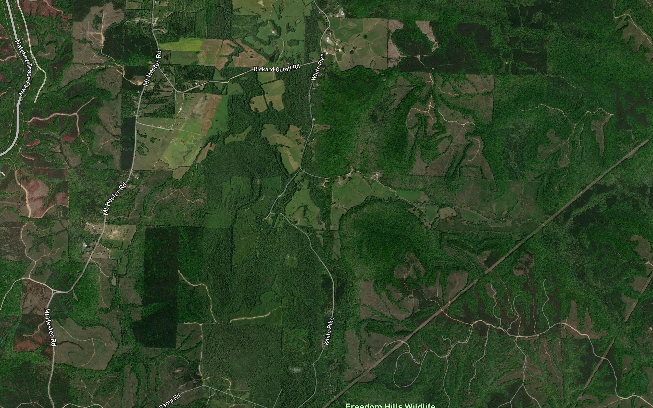 Hamilton Creek