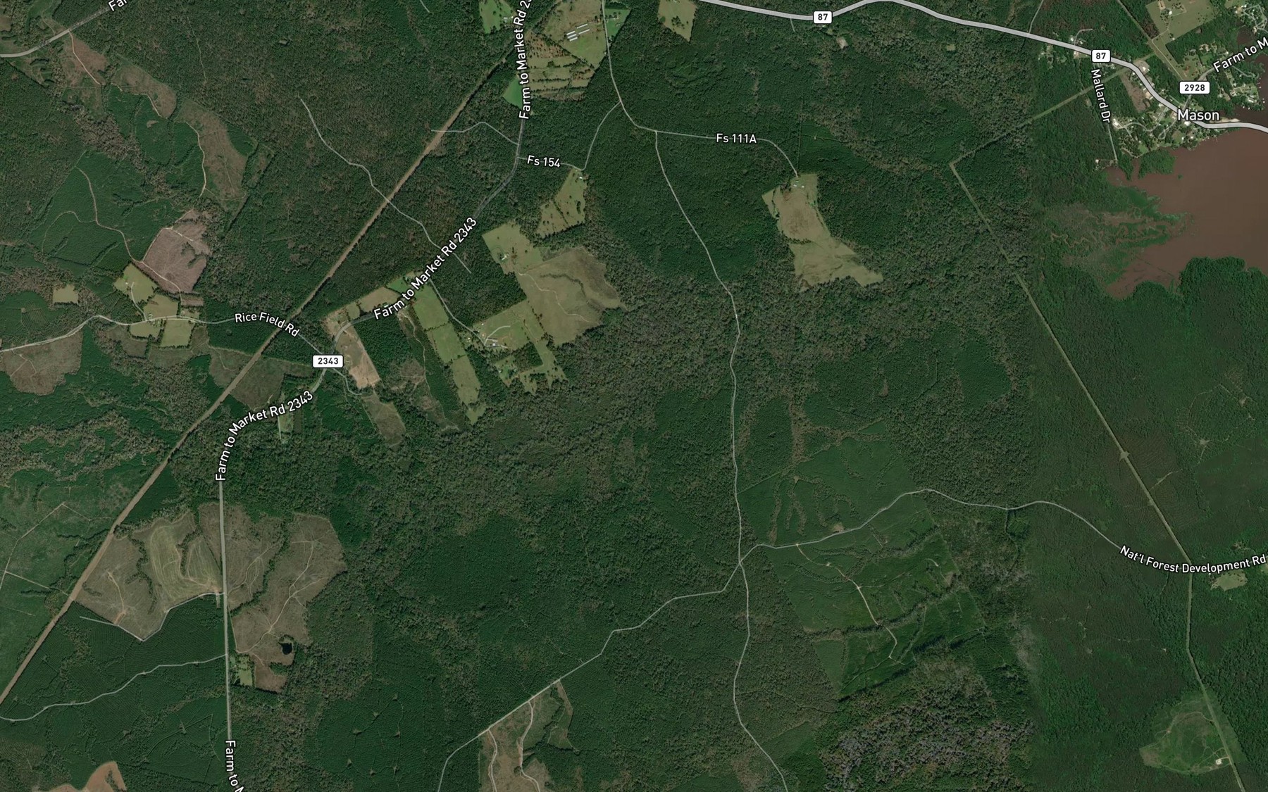 Satellite map of the Brushy Creek
