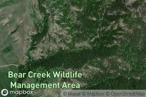 Cameron Creek