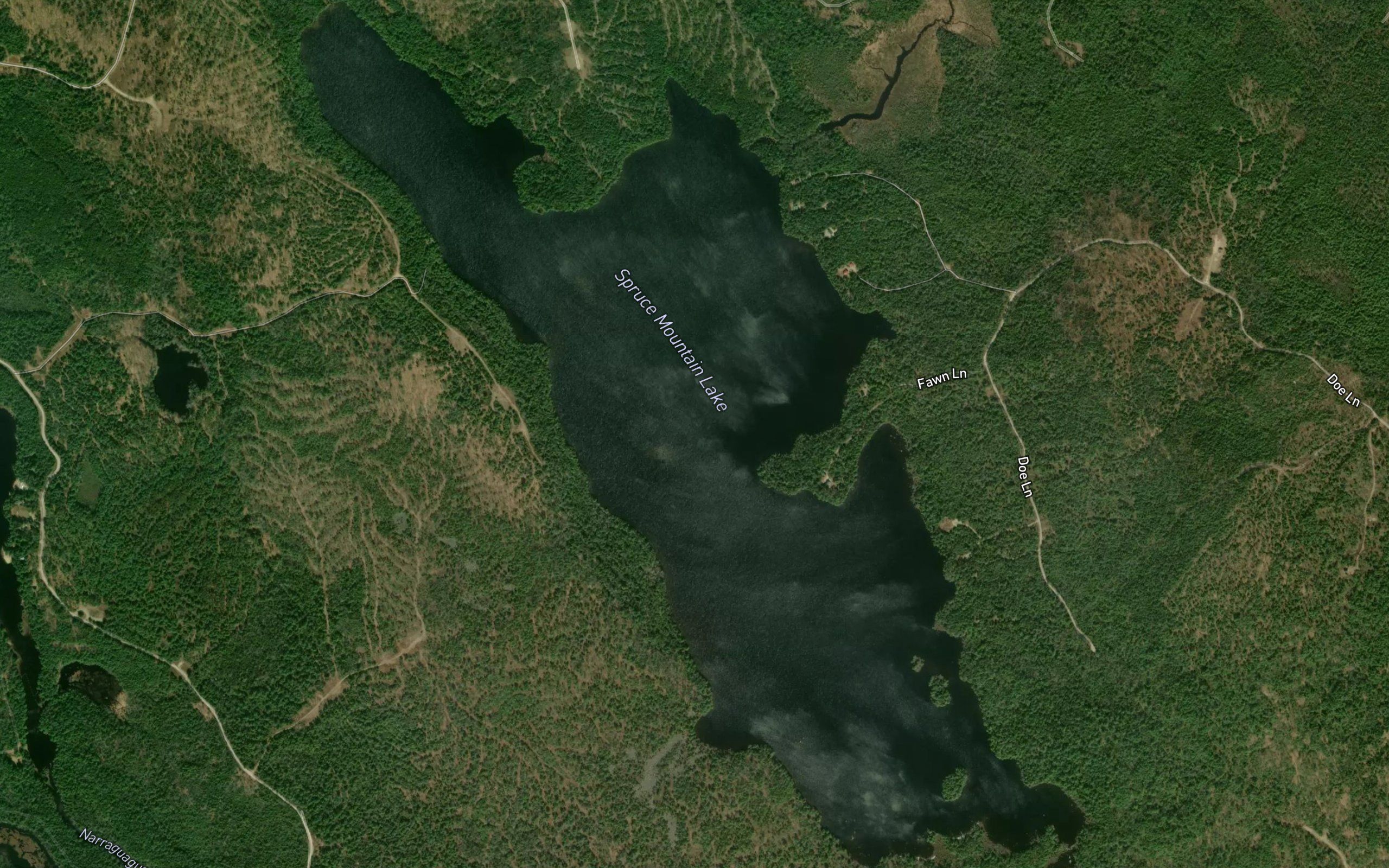 Spruce Mountain Lake
