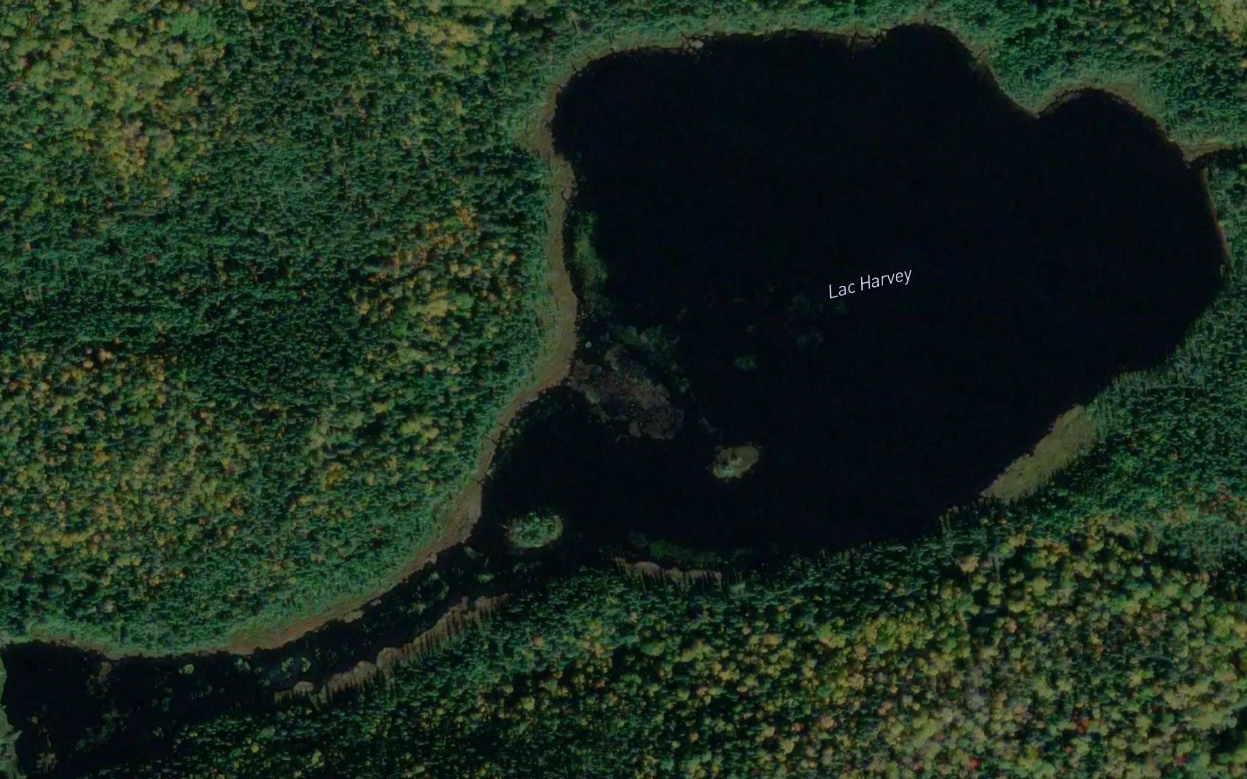 Lac Harvey