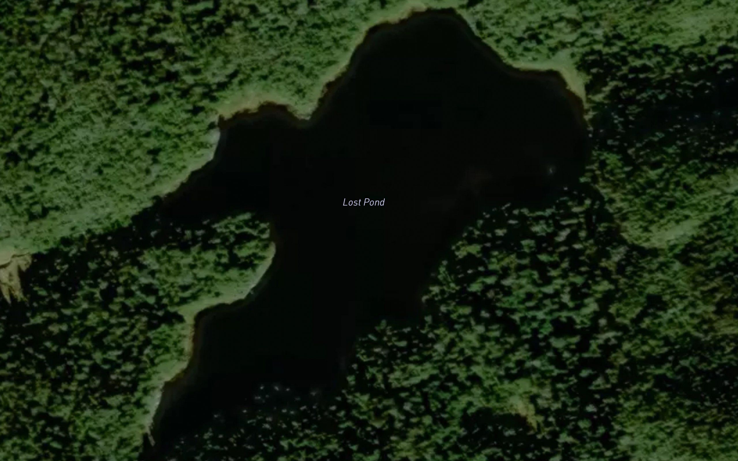 Lost Pond