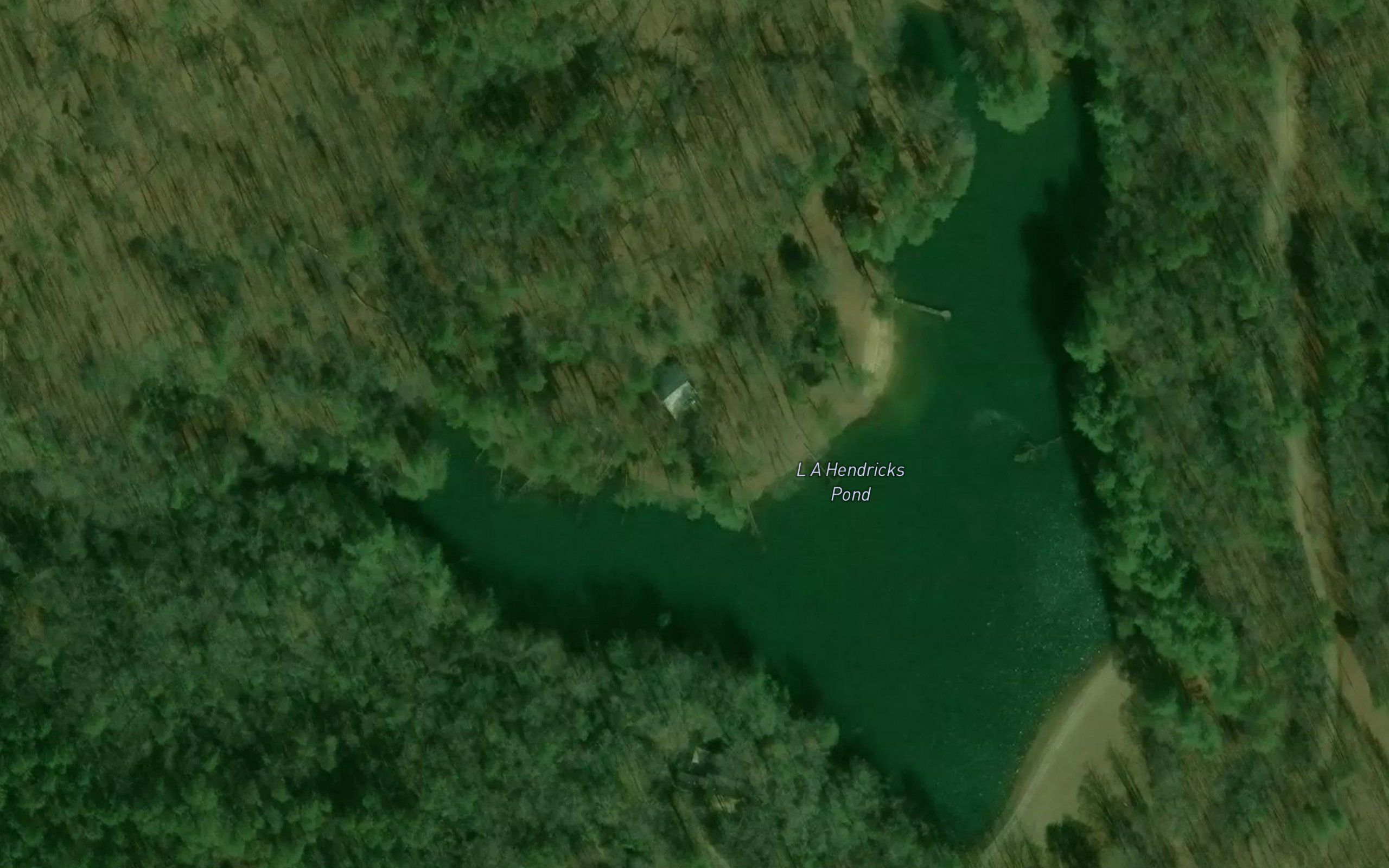 L A Hendricks Pond