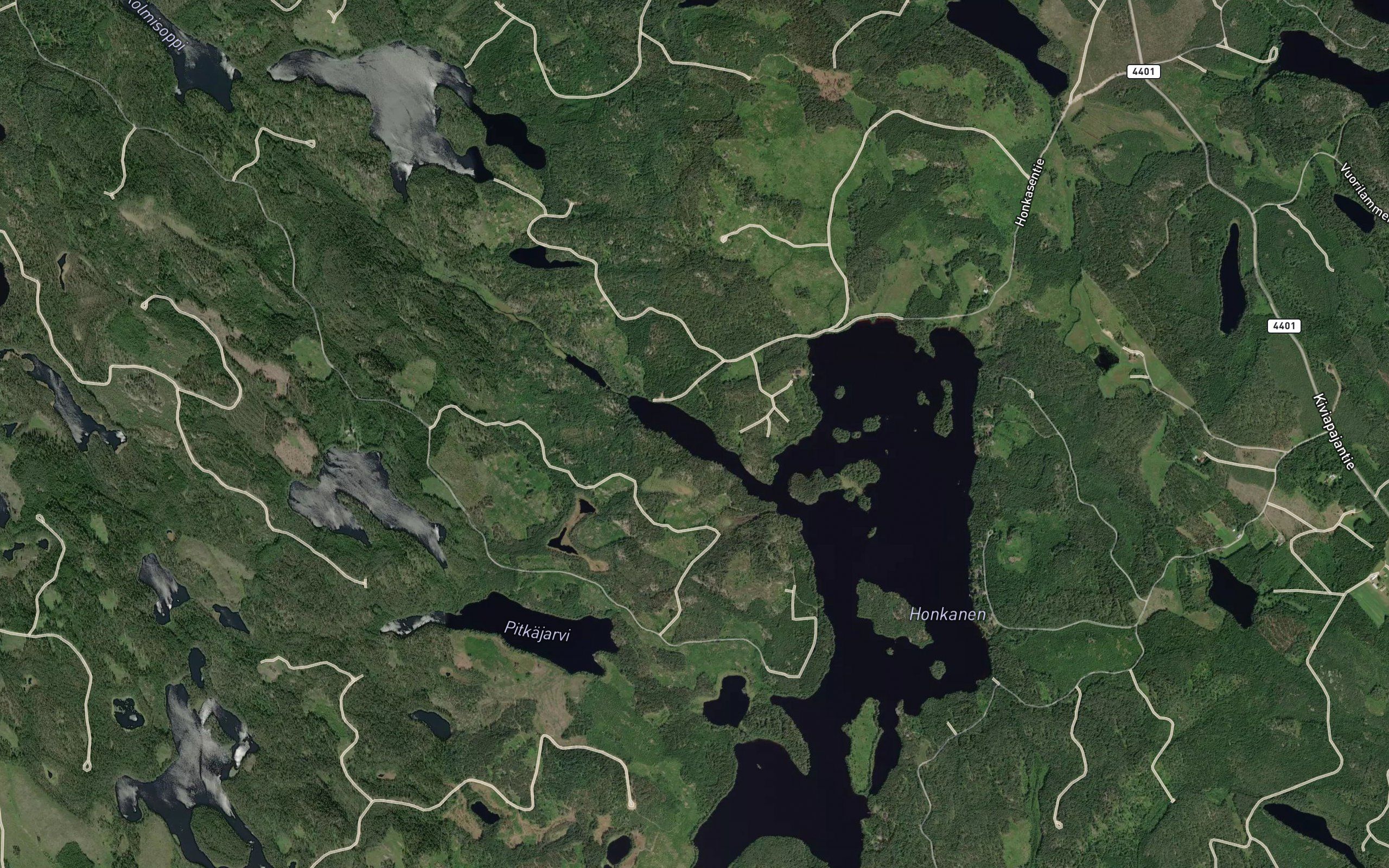 Pitkalahti