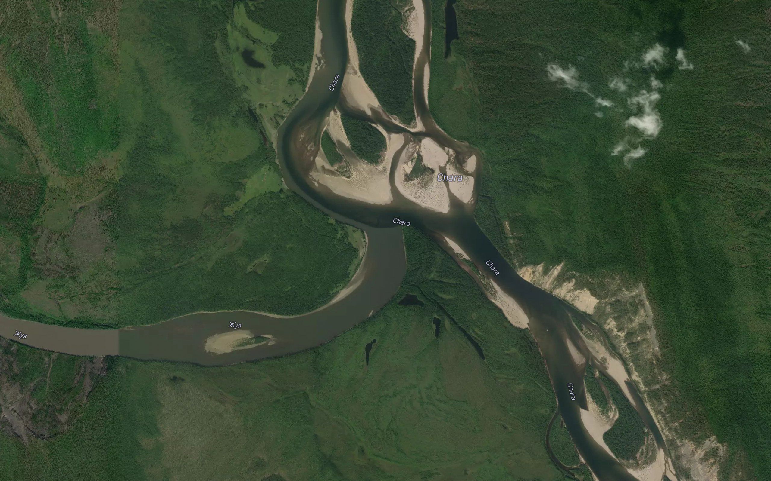 Zhuya