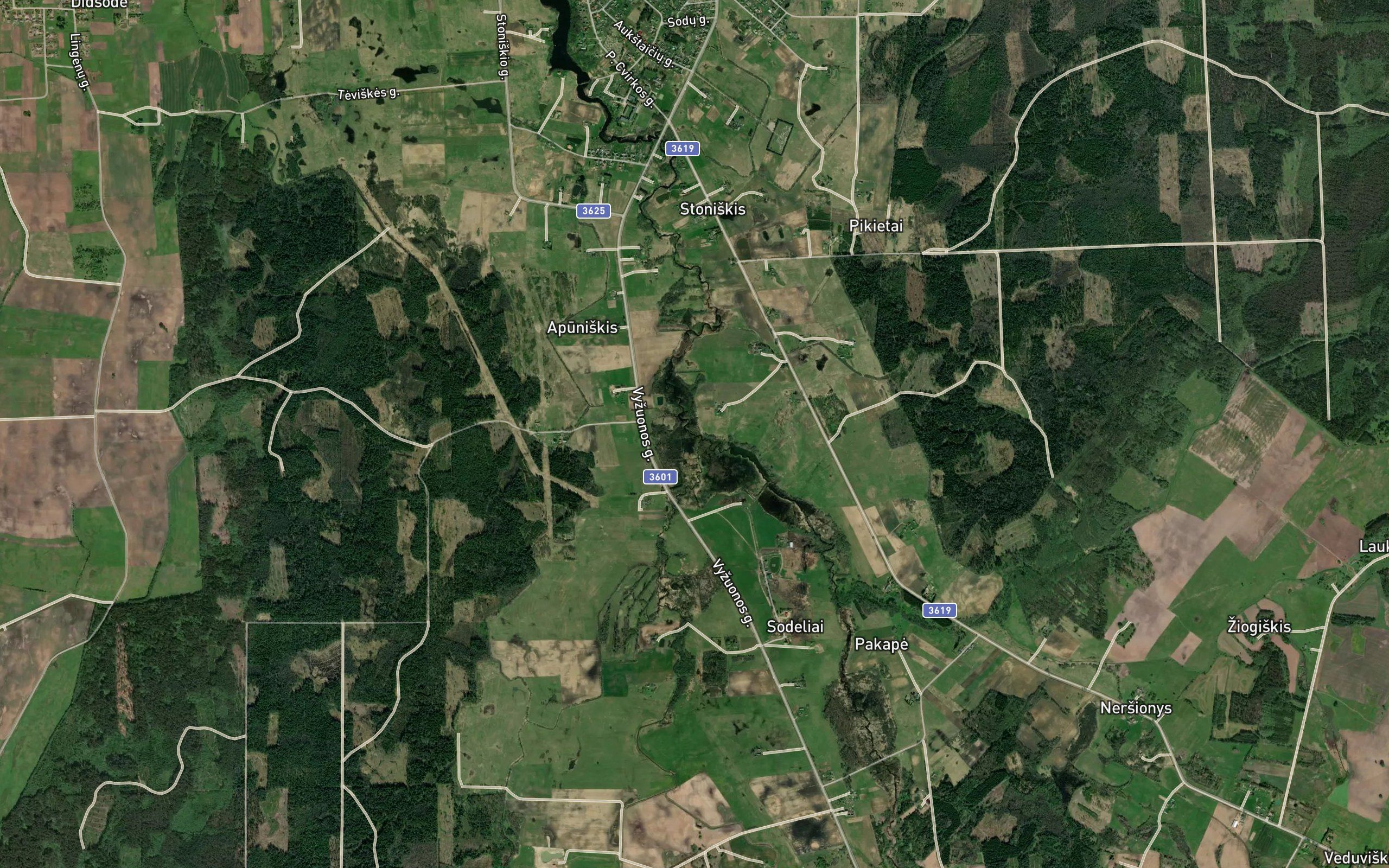 Saltoja
