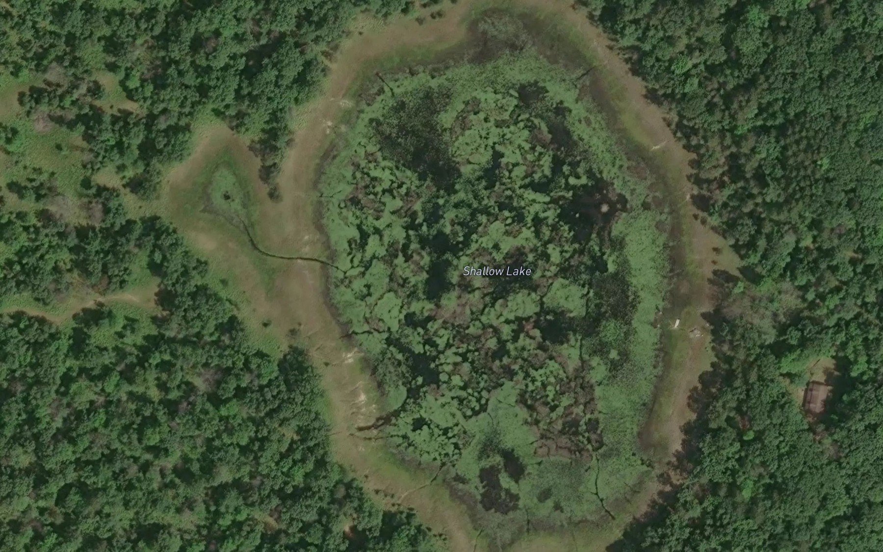 Satellite map of the Shallow Lake