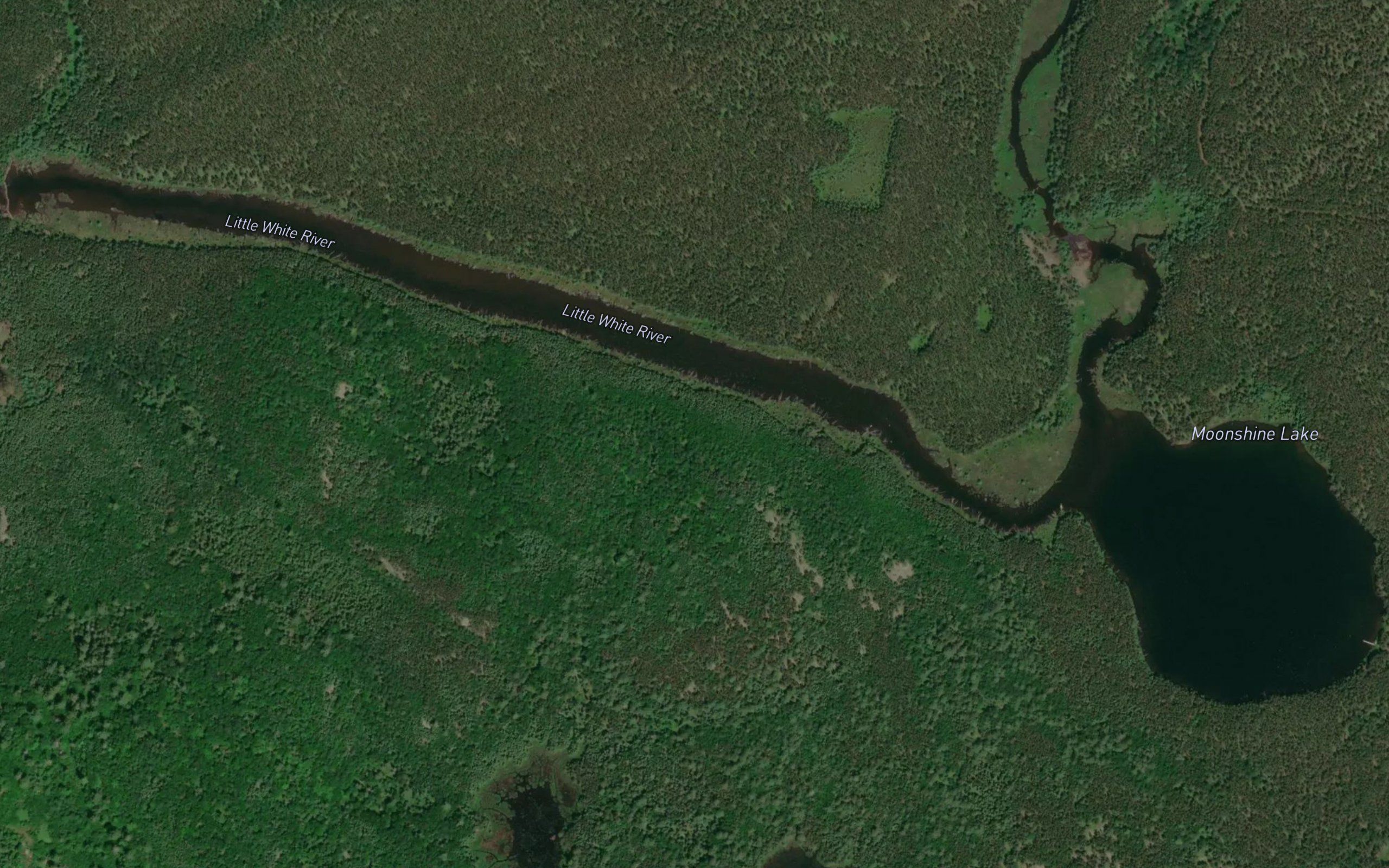 Moonshine Lake