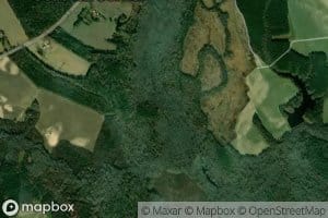 Round Hill Swamp