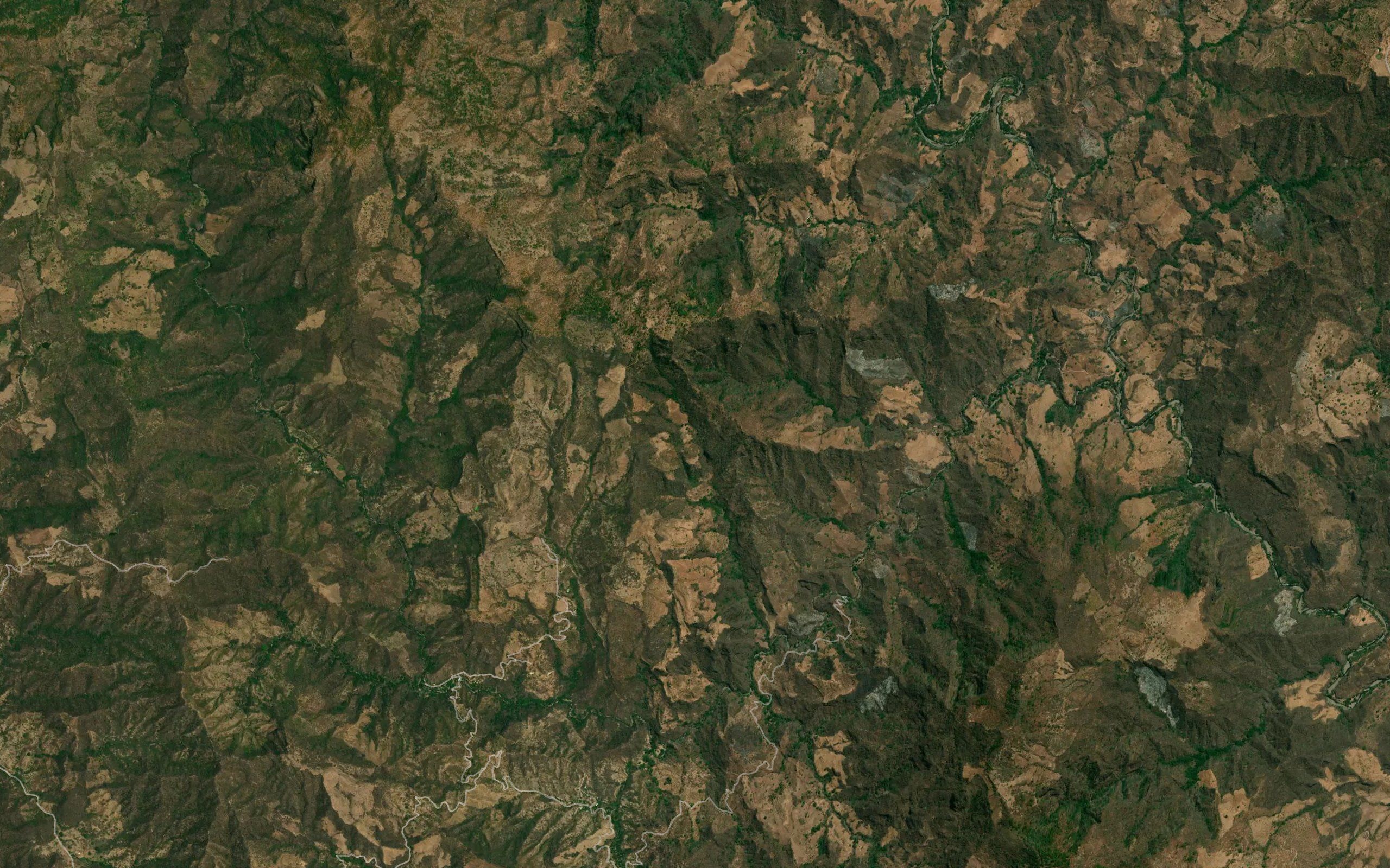 Barranca Los Planes