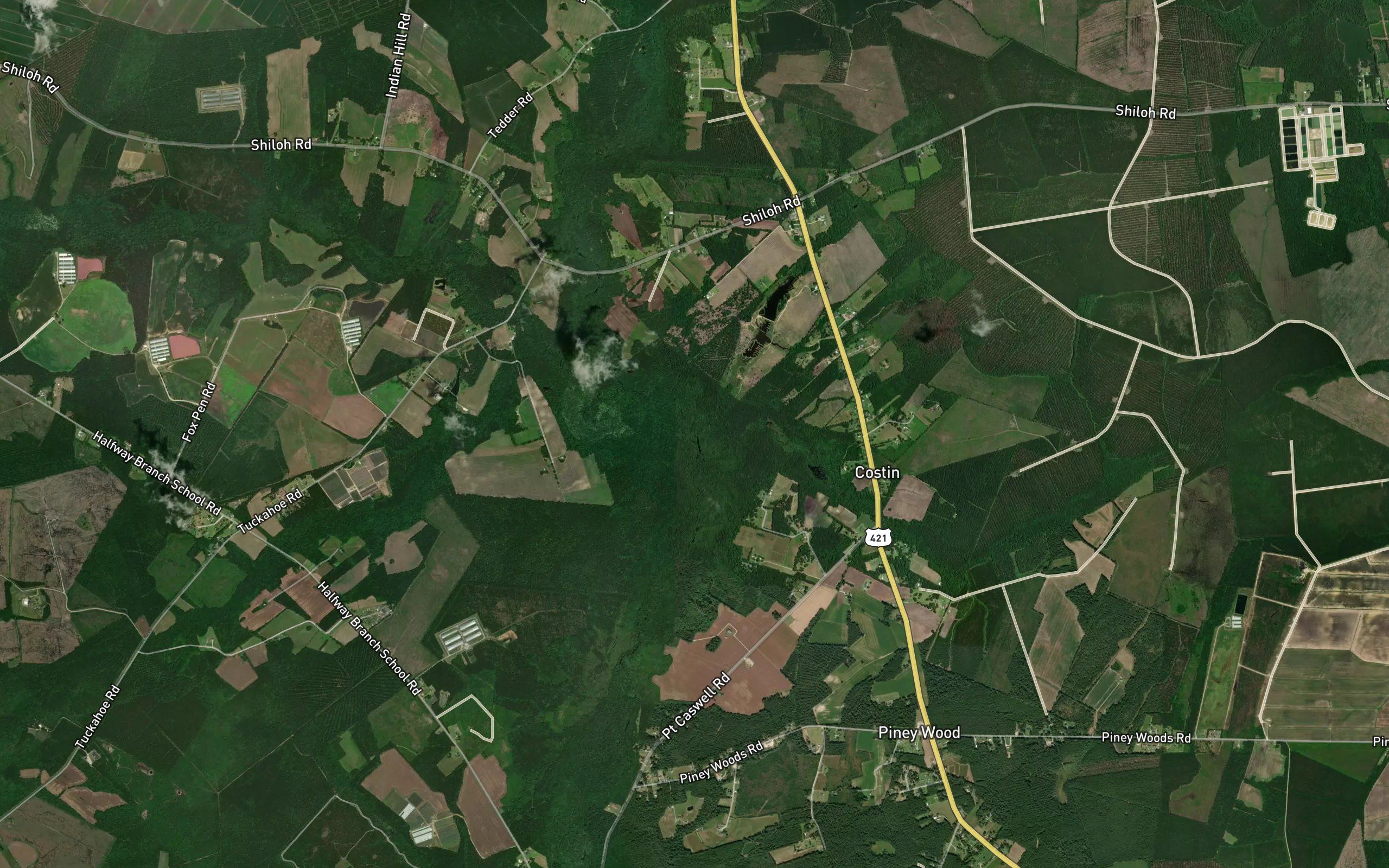 Taylor Branch