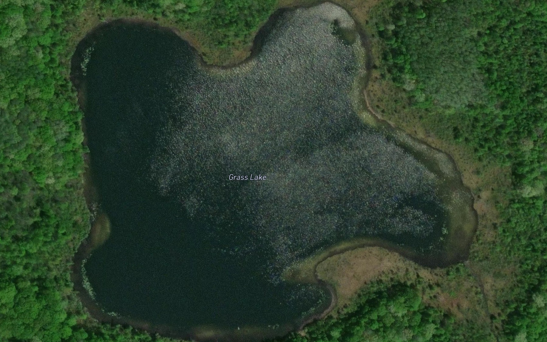 Satellite map of the Grass Lake