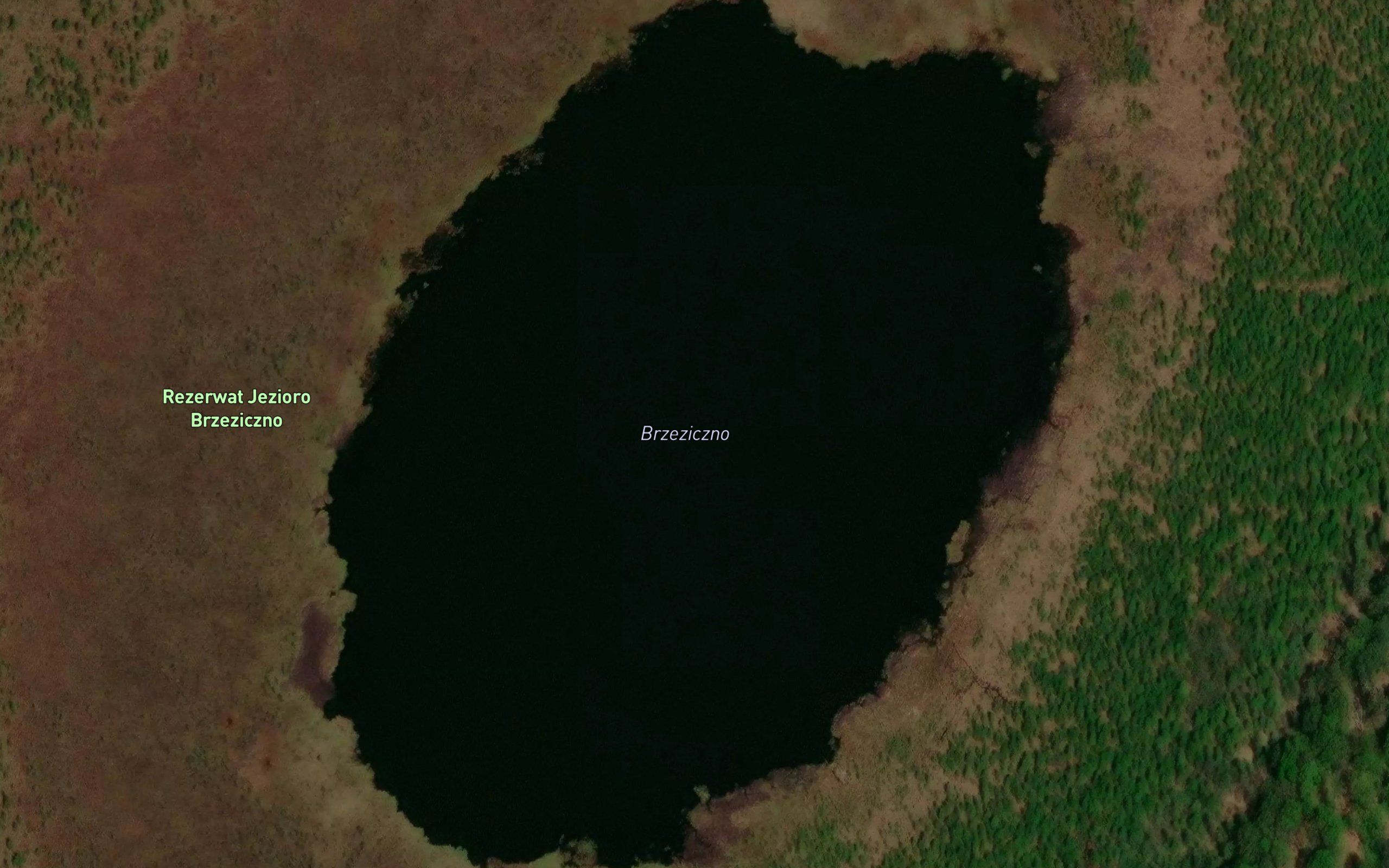 Jezioro Brzeziczno