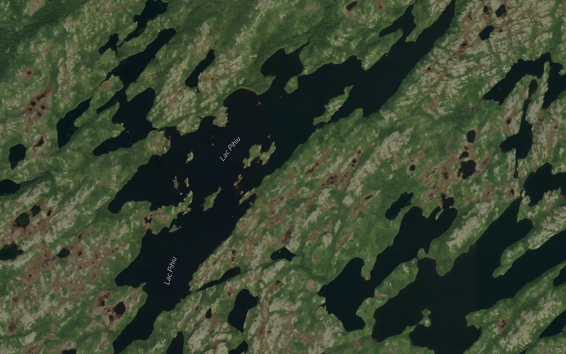 Satellite map of the Lac Pihiu
