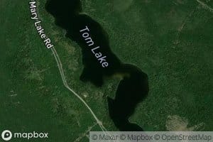 Tom Lake