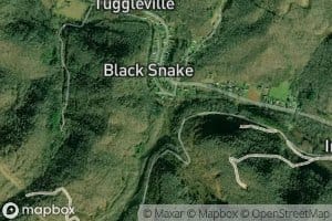 Blacksnake Branch