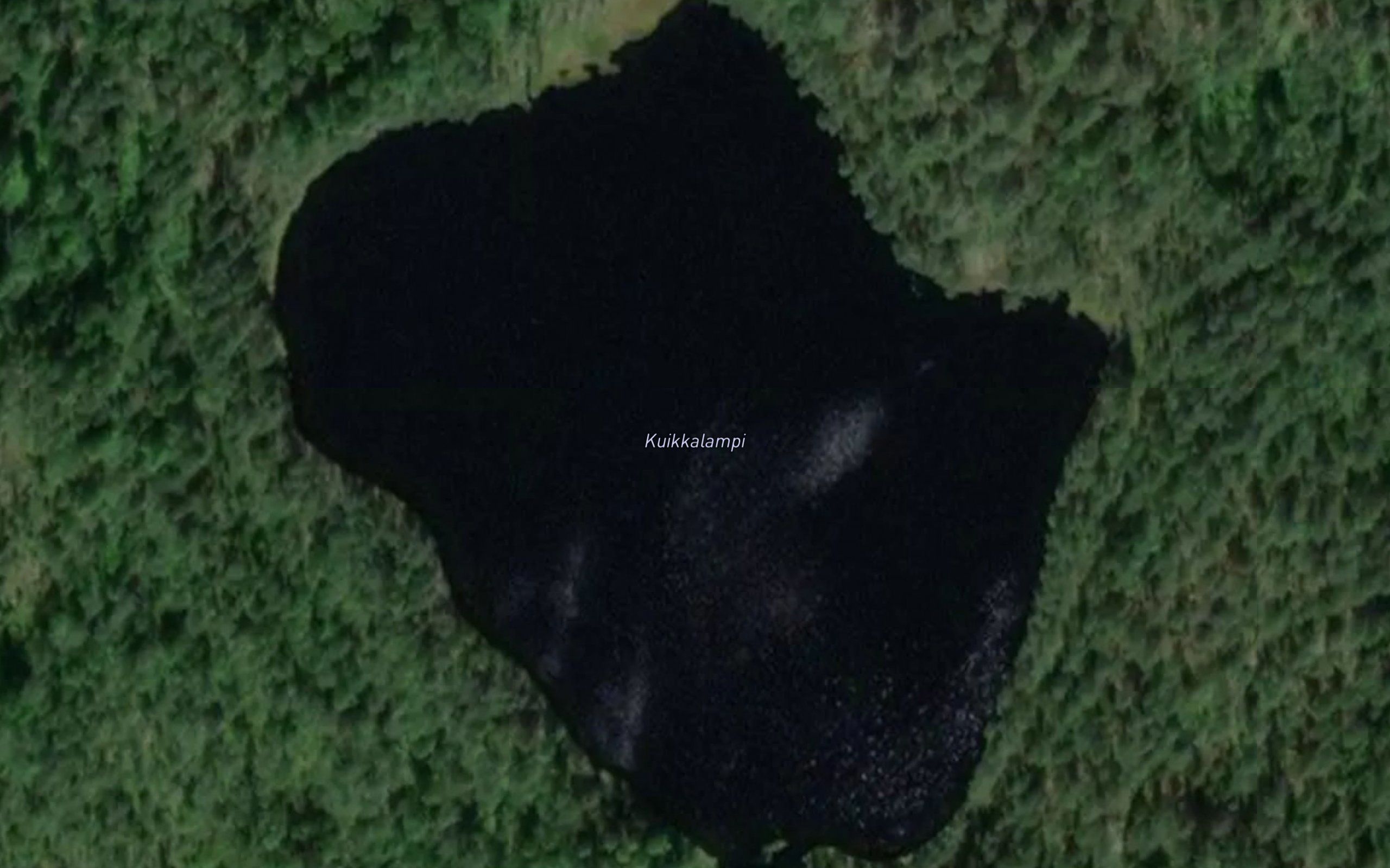 Kuikkalampi